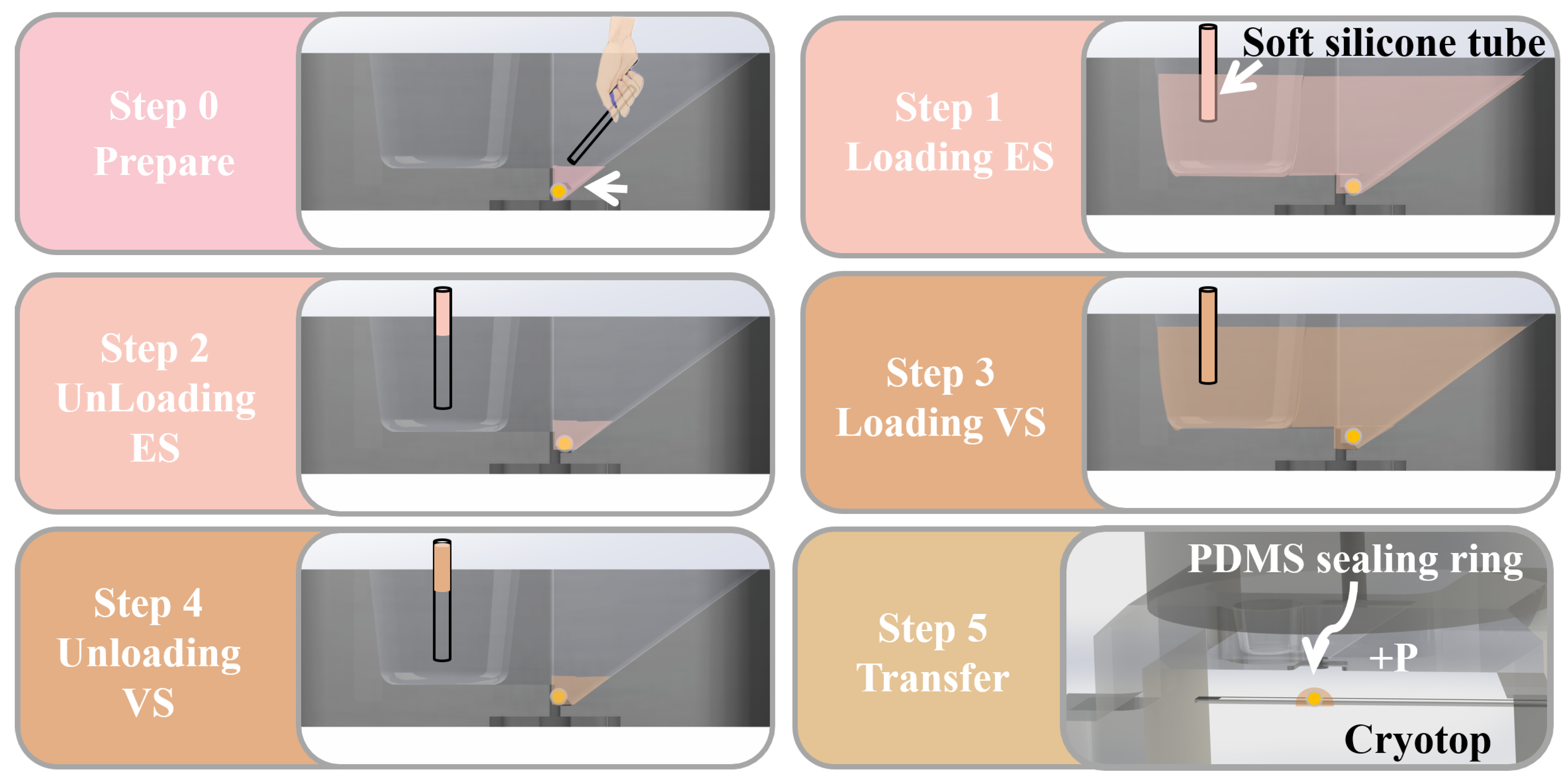 Biosensors 12 00766 g004 Biosensors 12 00766 g004