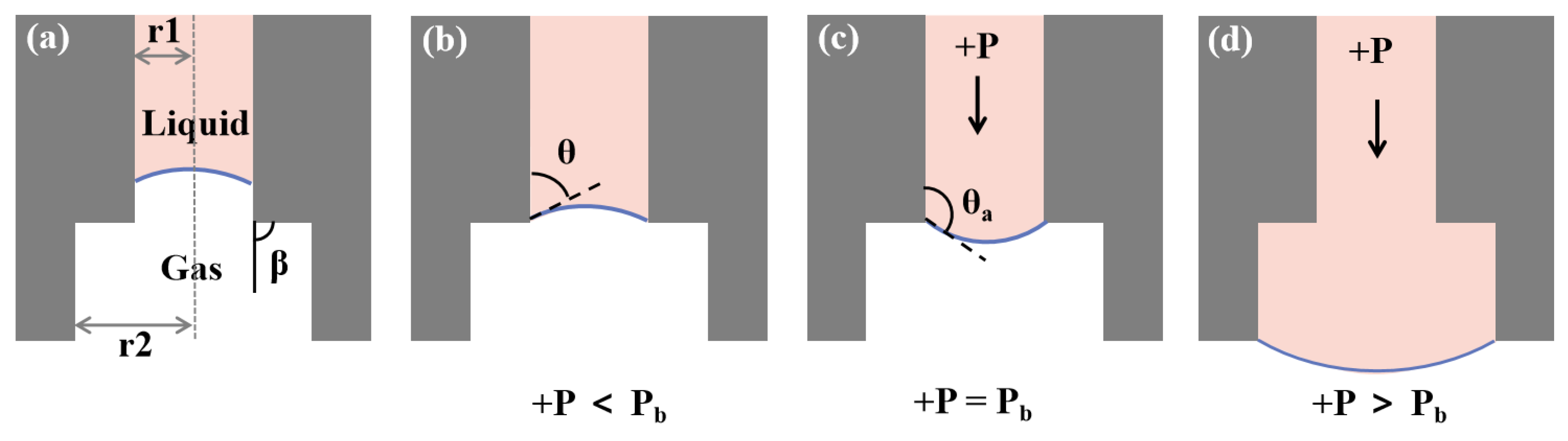 Biosensors 12 00766 g005 Biosensors 12 00766 g005
