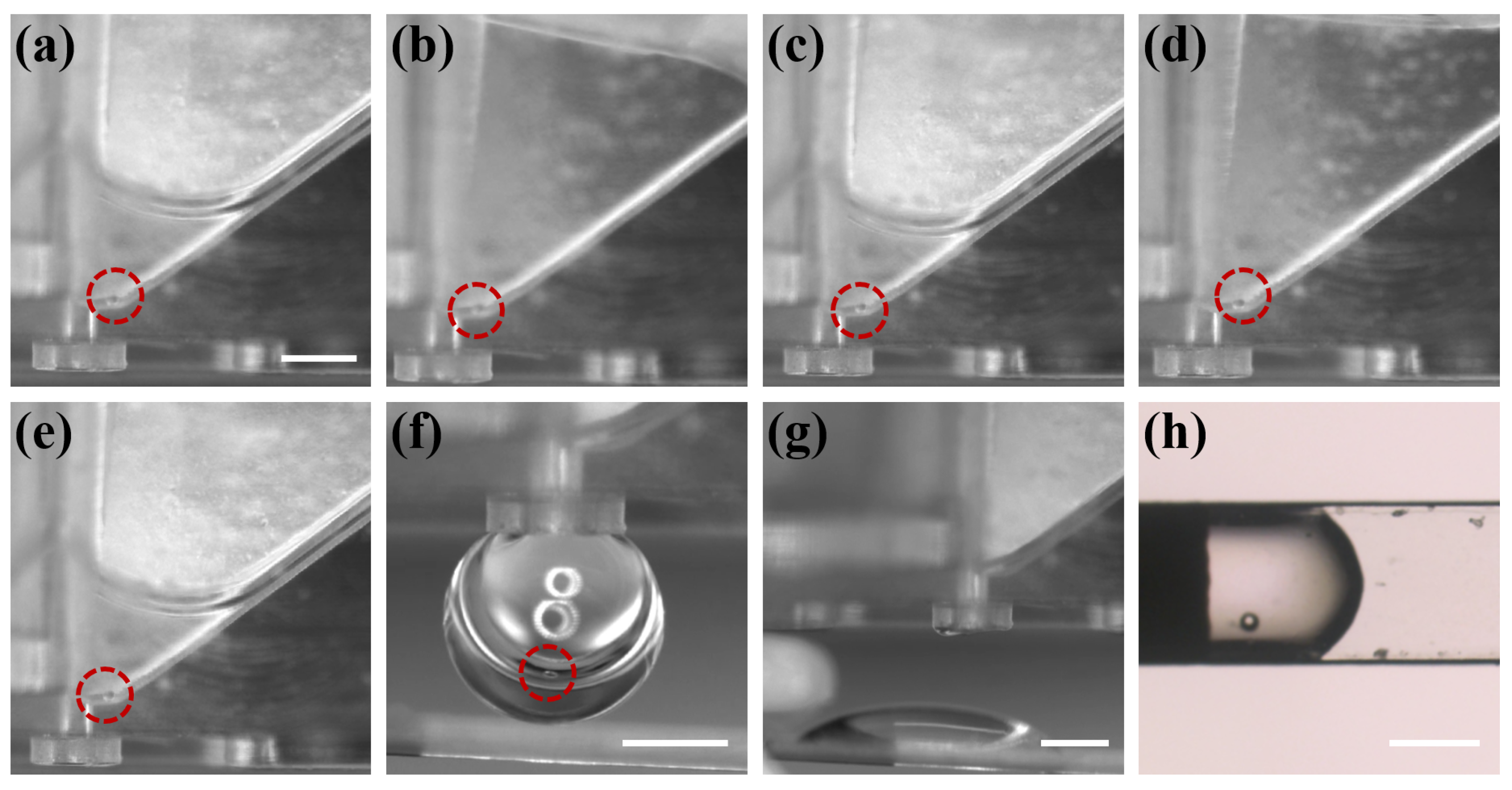 Biosensors 12 00766 g008 Biosensors 12 00766 g008