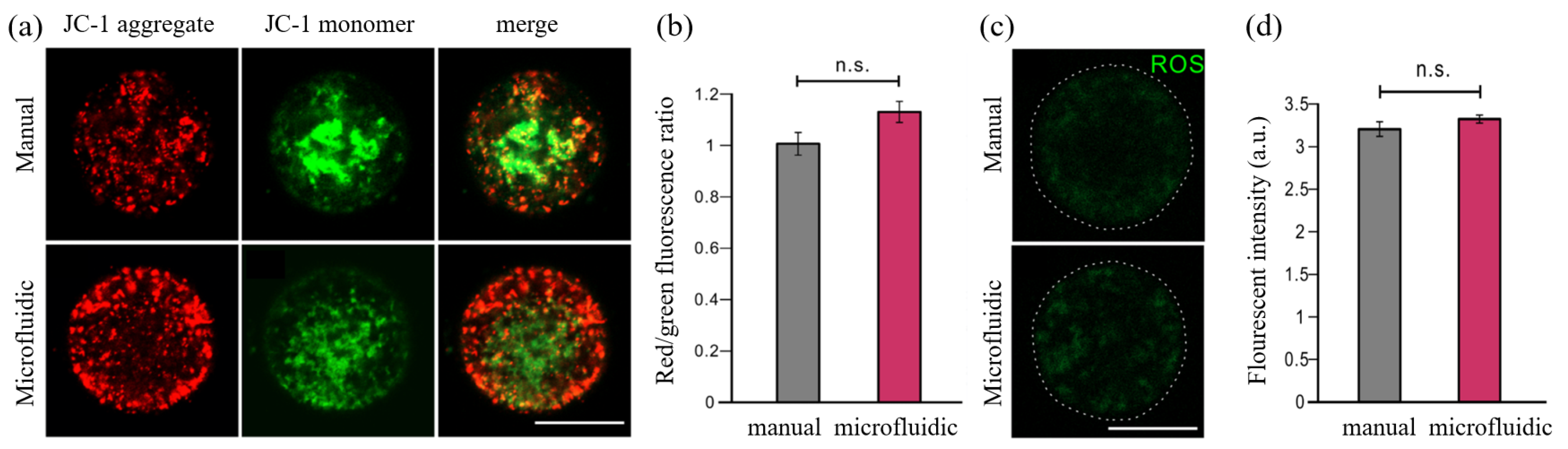 Biosensors 12 00766 g010 Biosensors 12 00766 g010