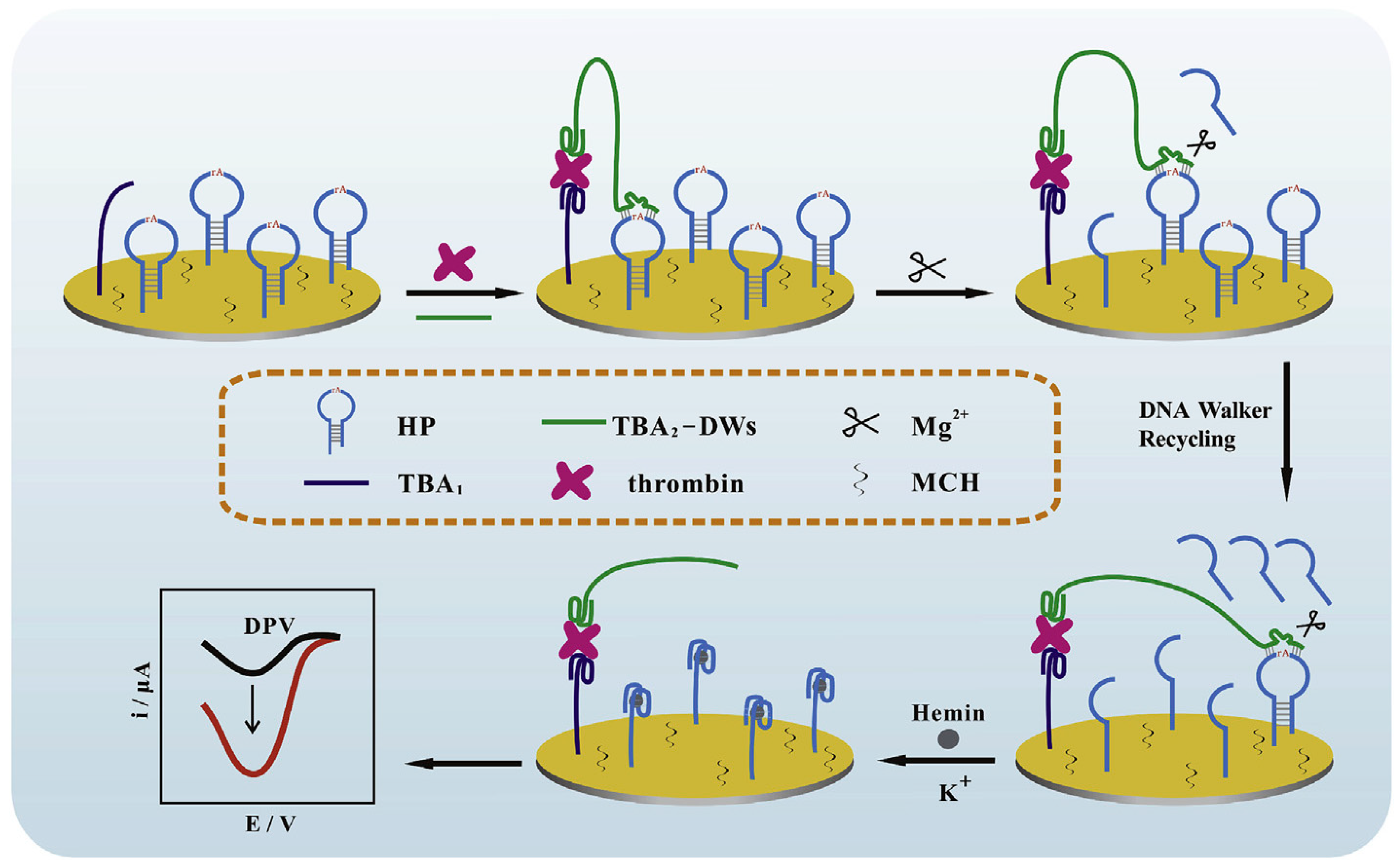 Biosensors 12 00767 g001