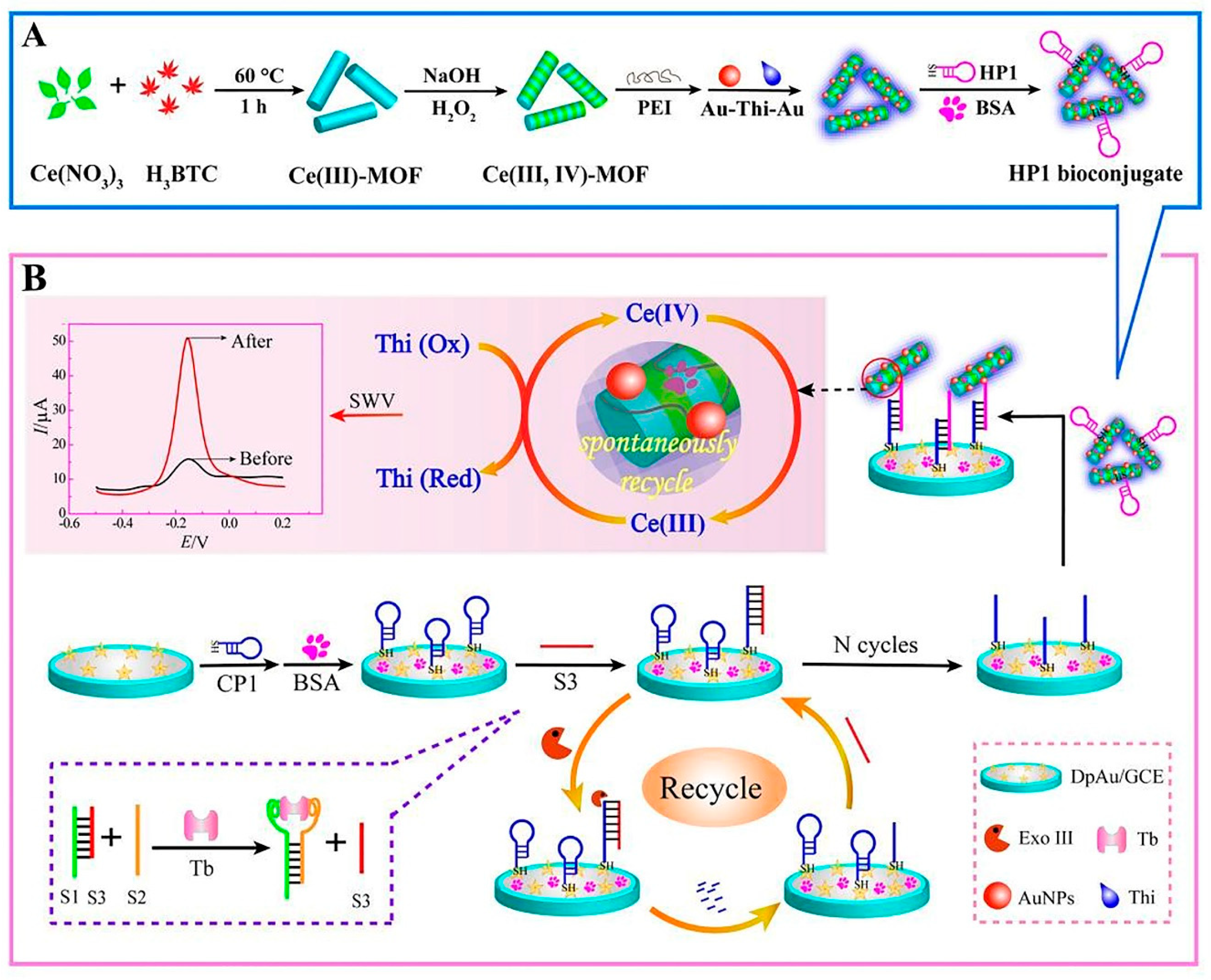 Biosensors 12 00767 g002