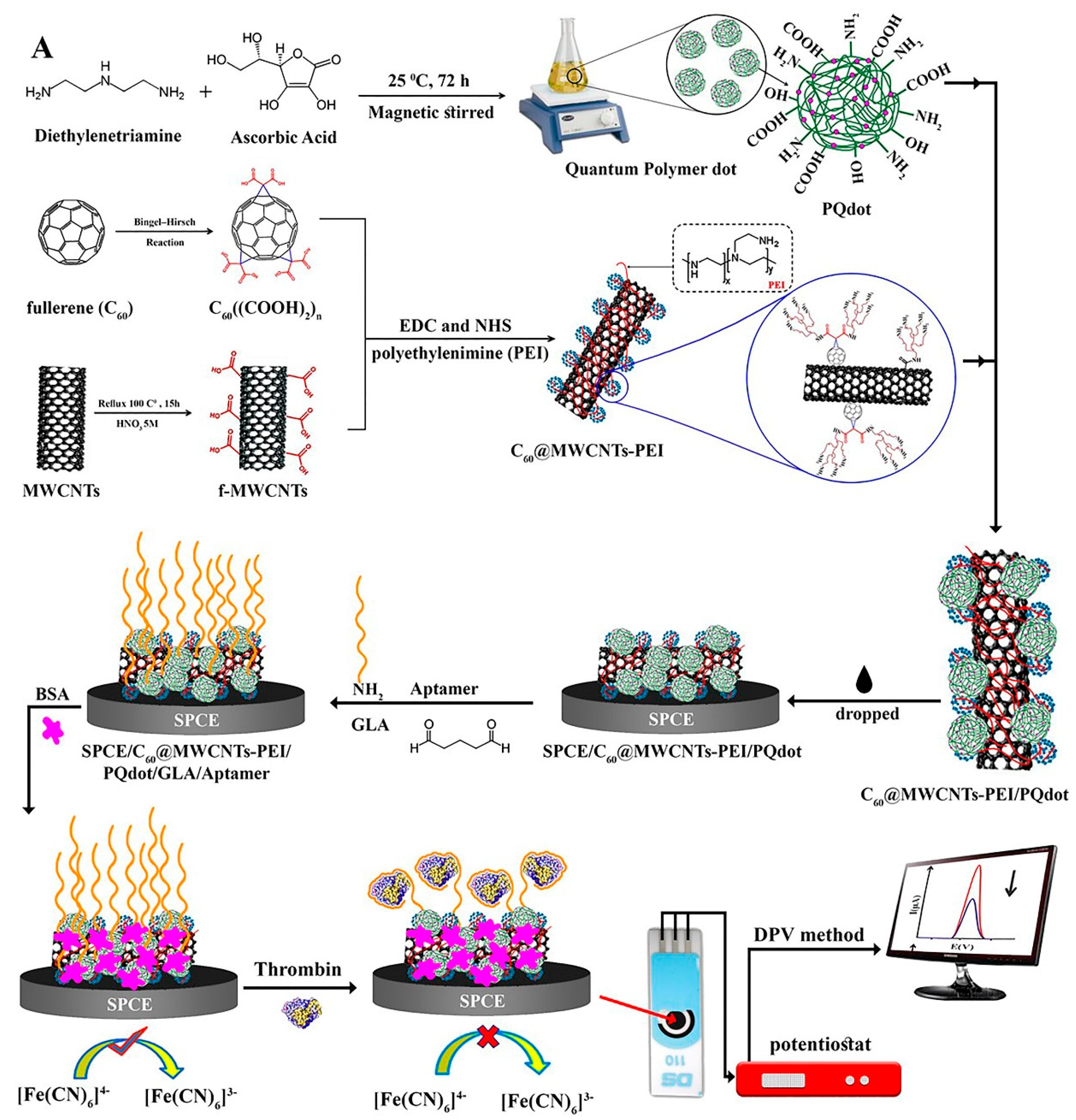 Biosensors 12 00767 g003