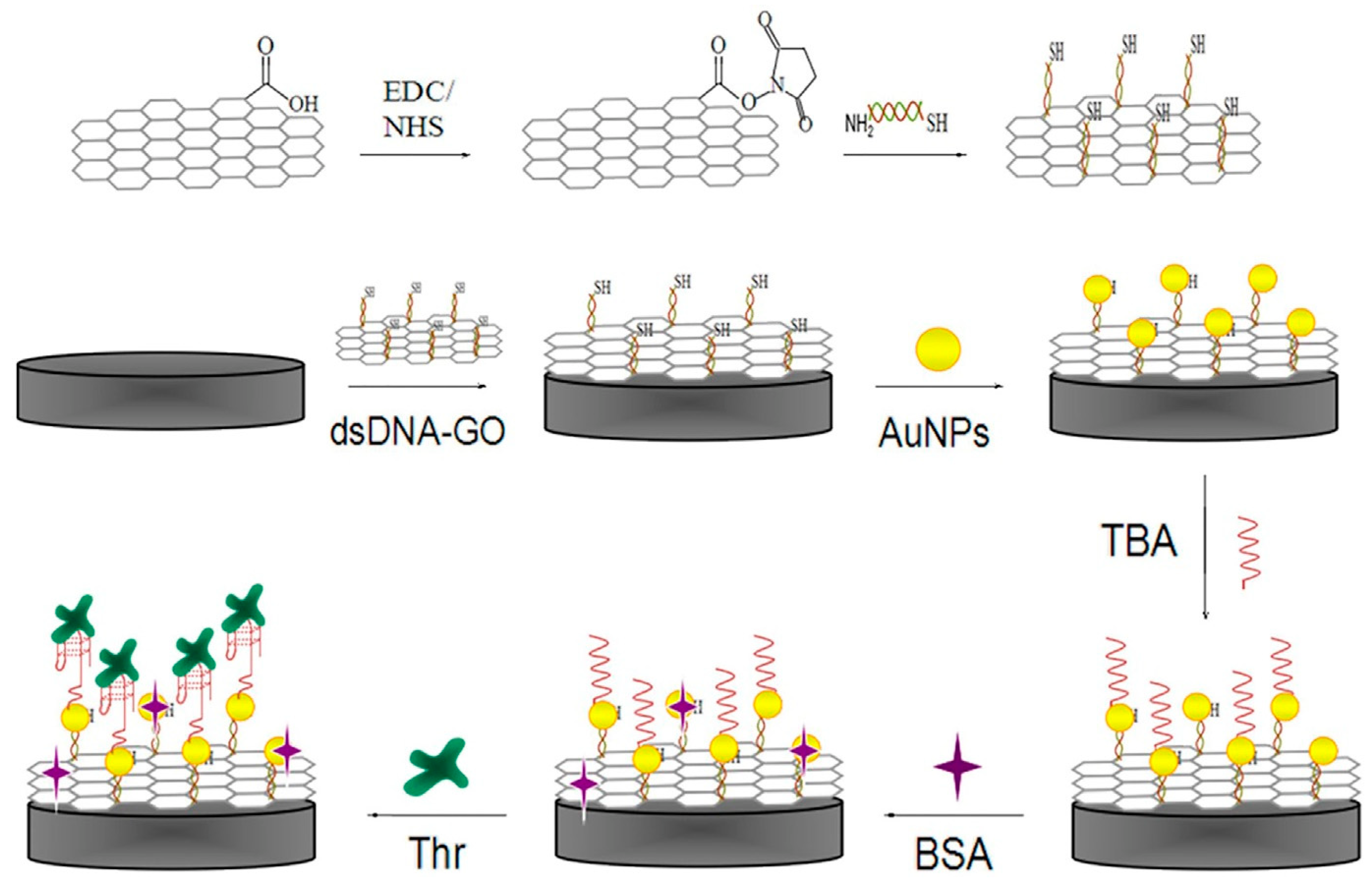Biosensors 12 00767 g004