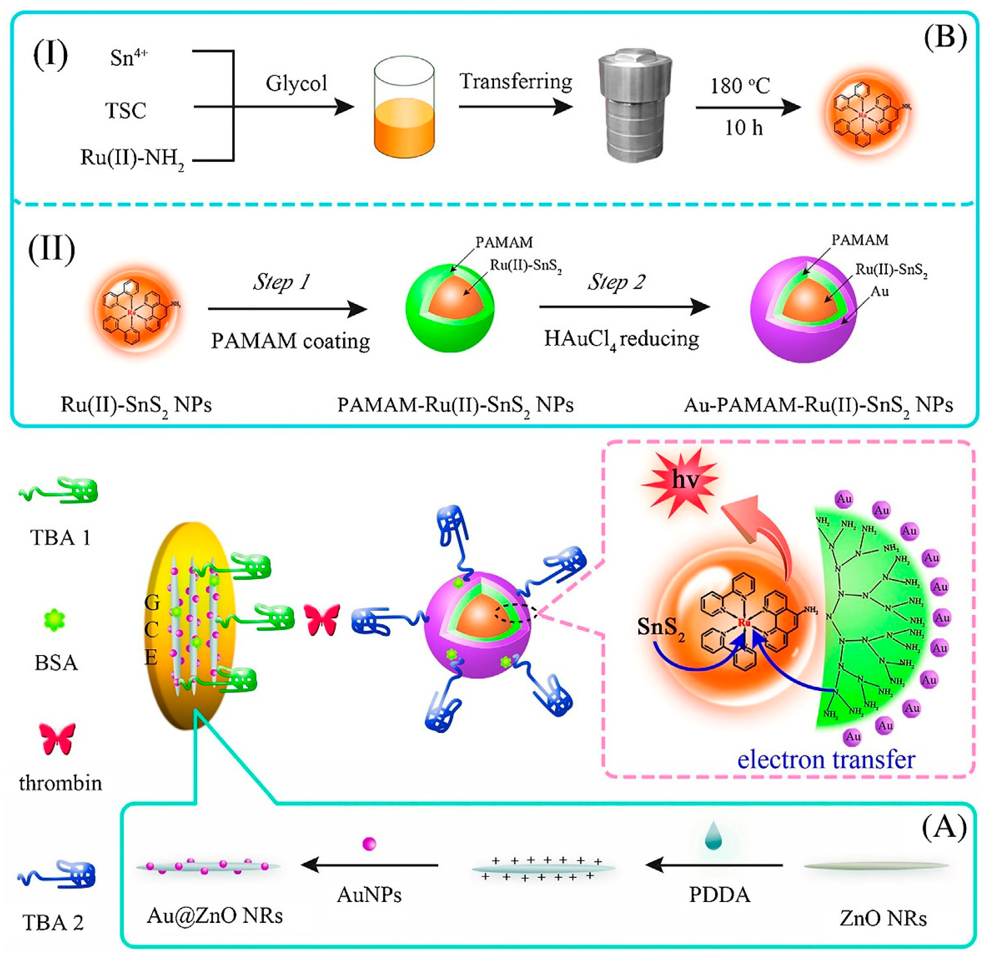 Biosensors 12 00767 g007