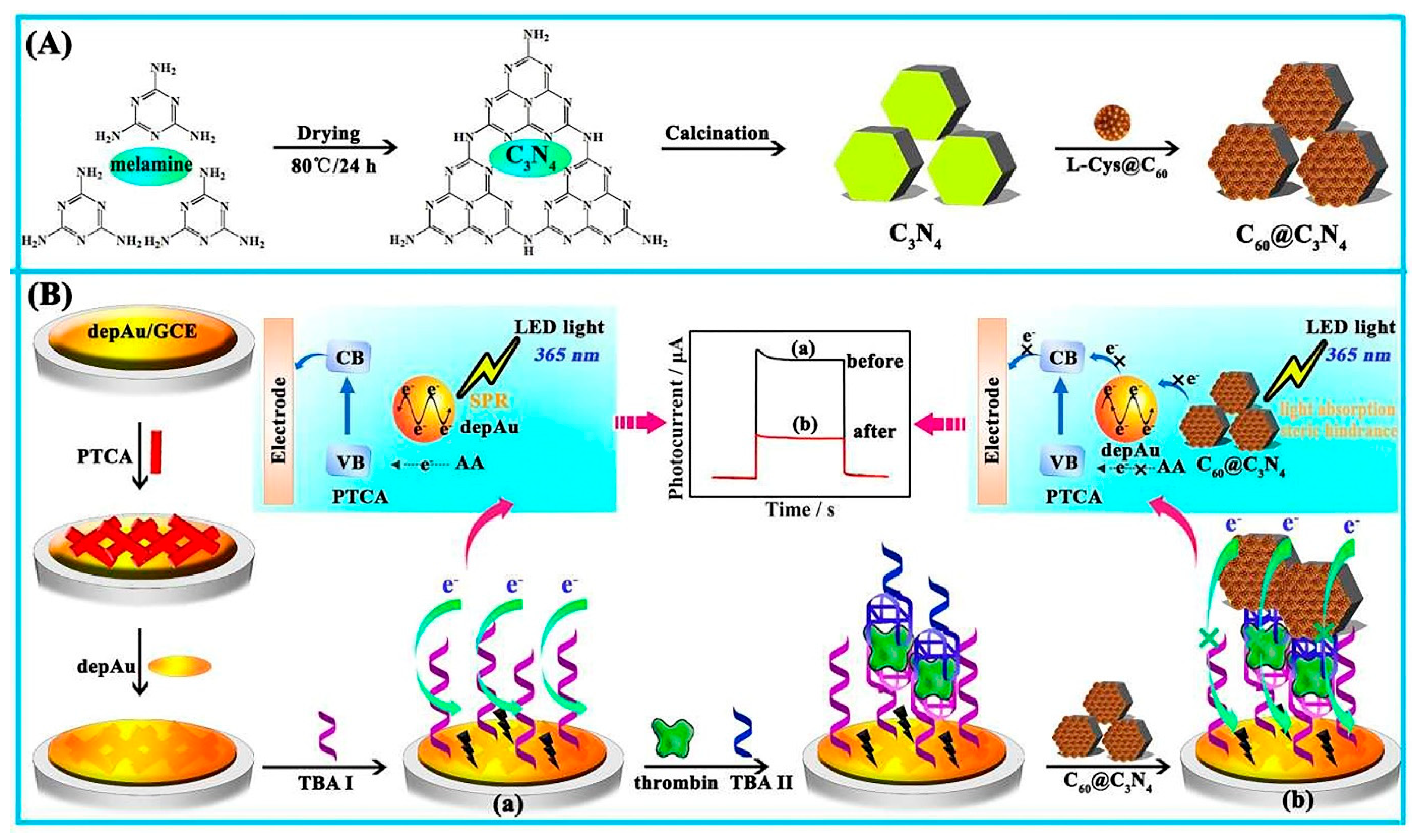 Biosensors 12 00767 g008