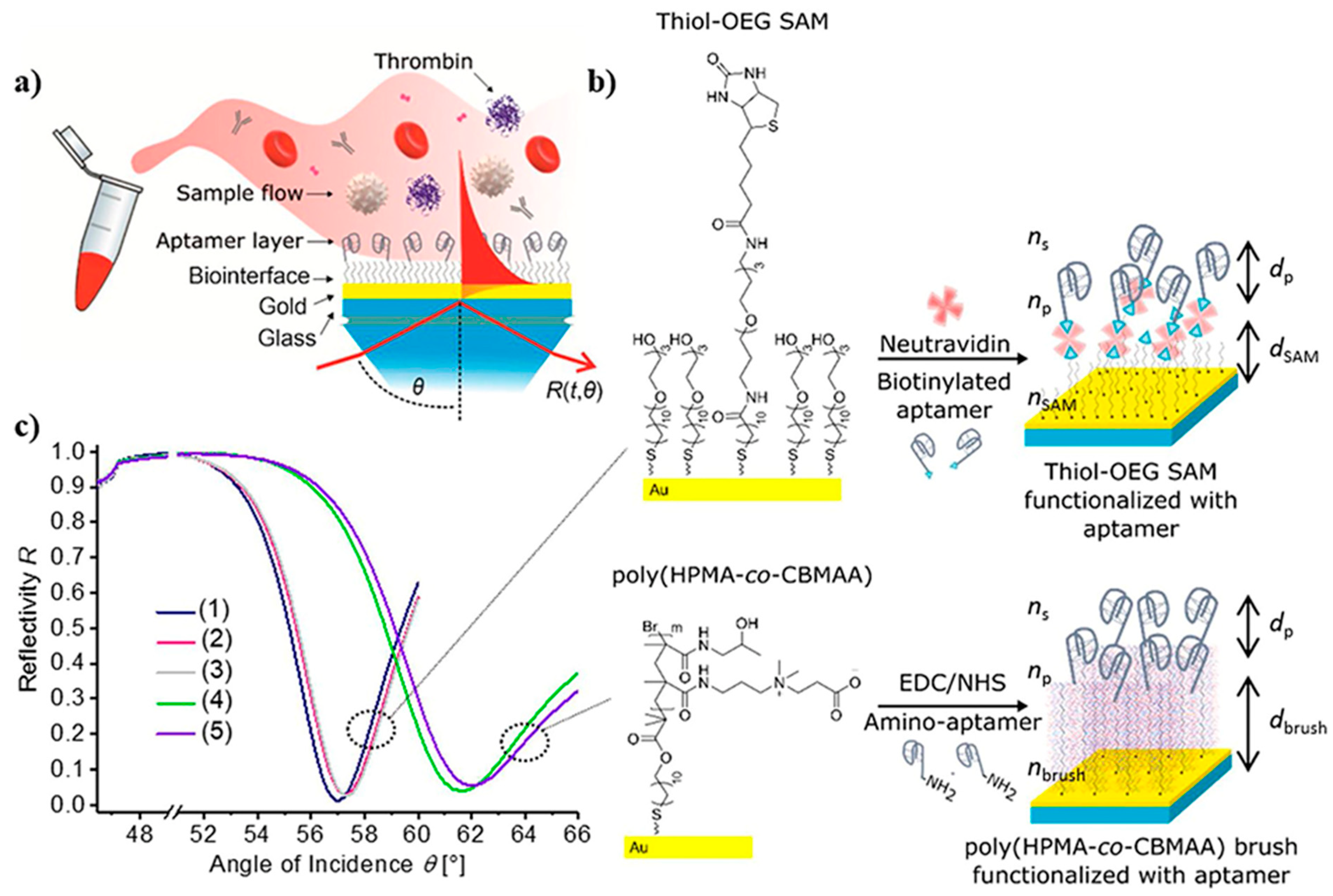 Biosensors 12 00767 g009