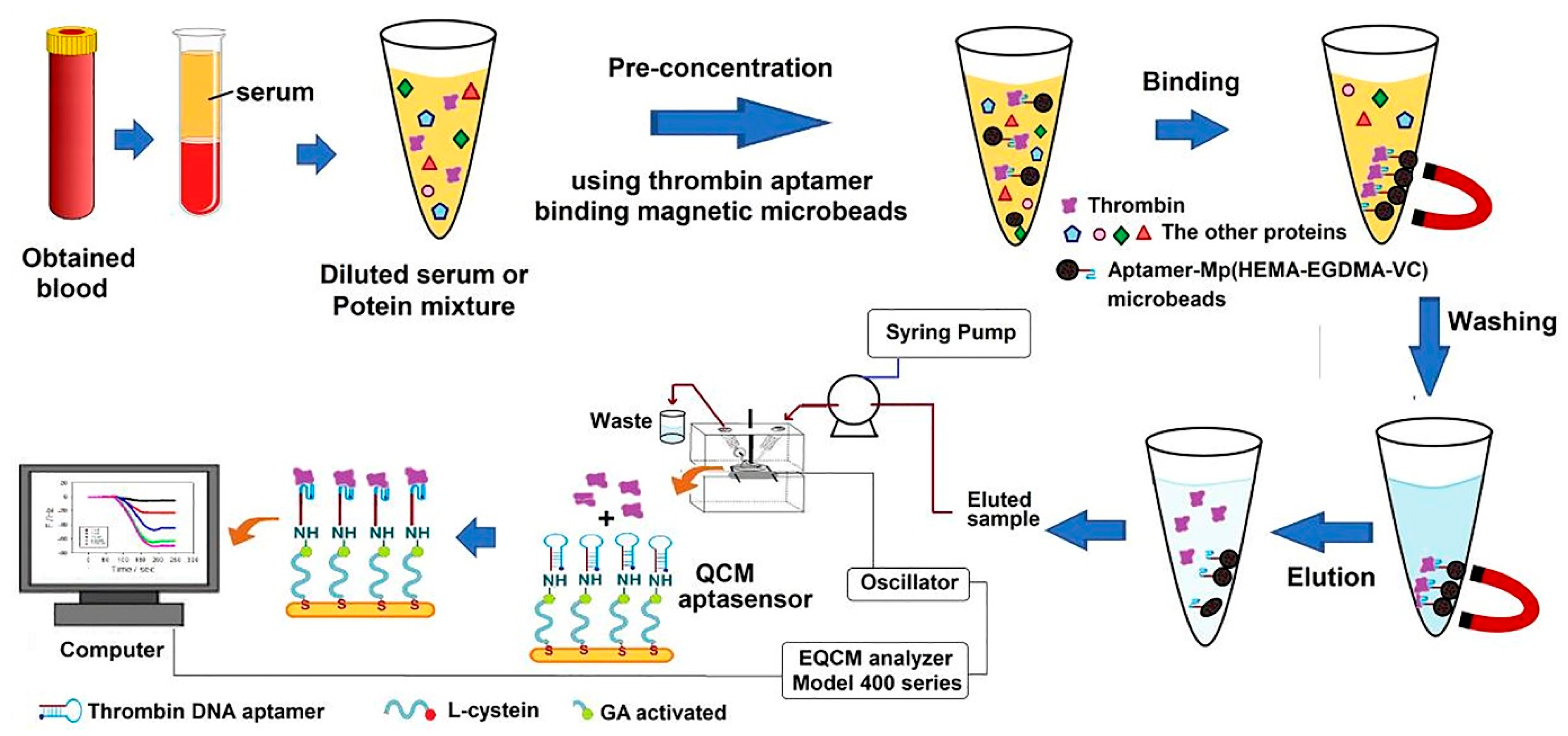 Biosensors 12 00767 g010