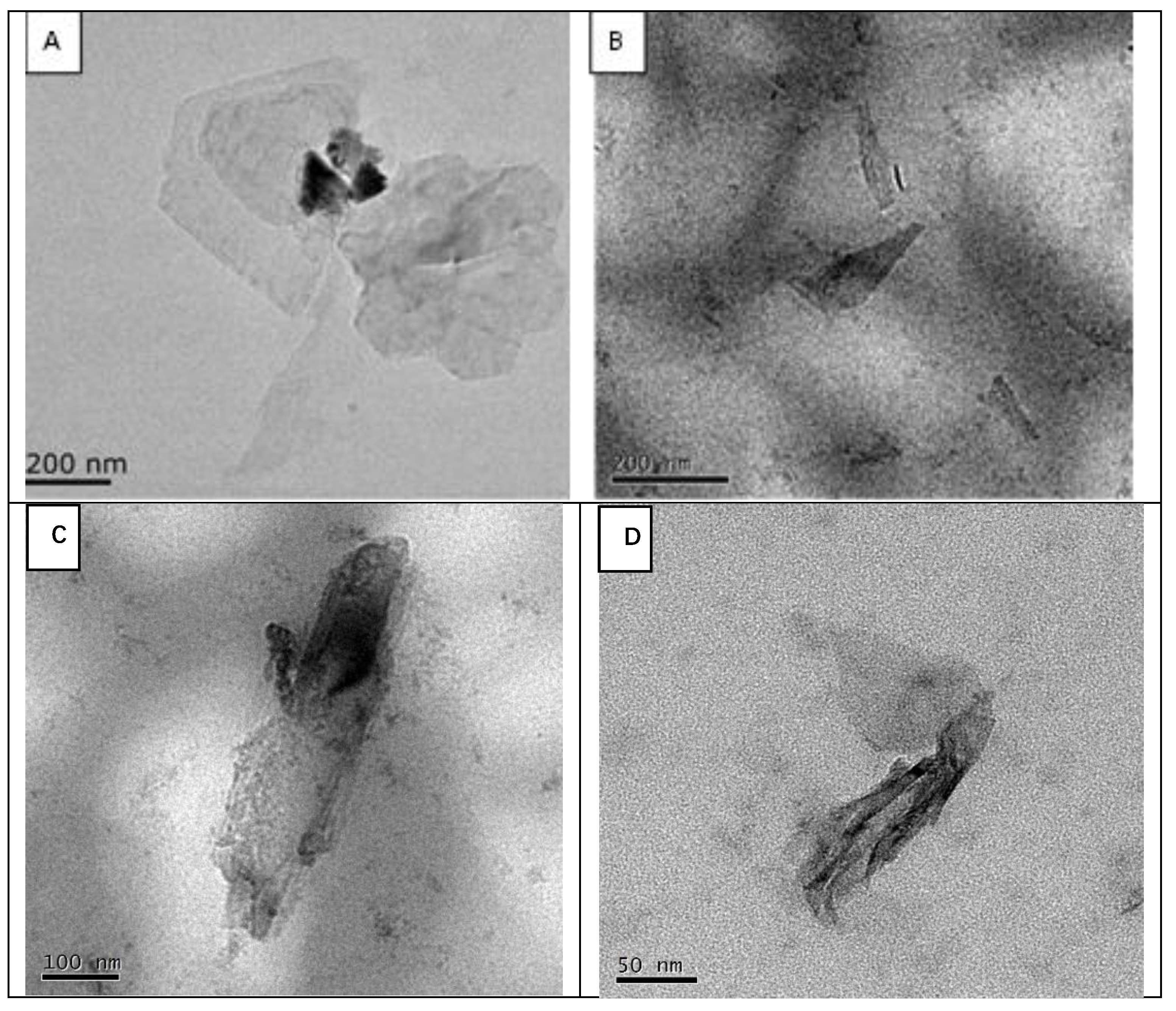 Biosensors 12 00775 g001