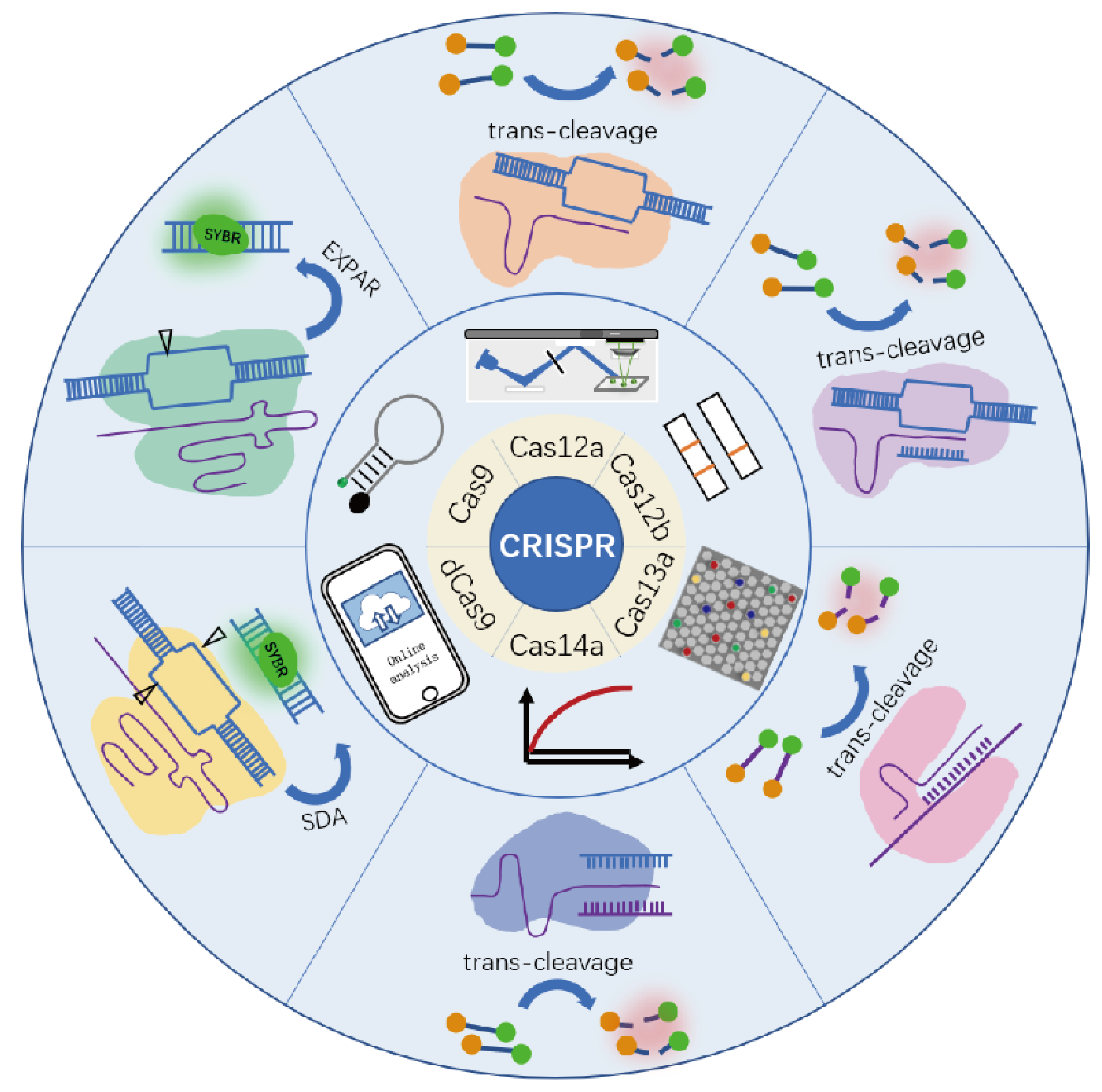 Biosensors 12 00779 g001