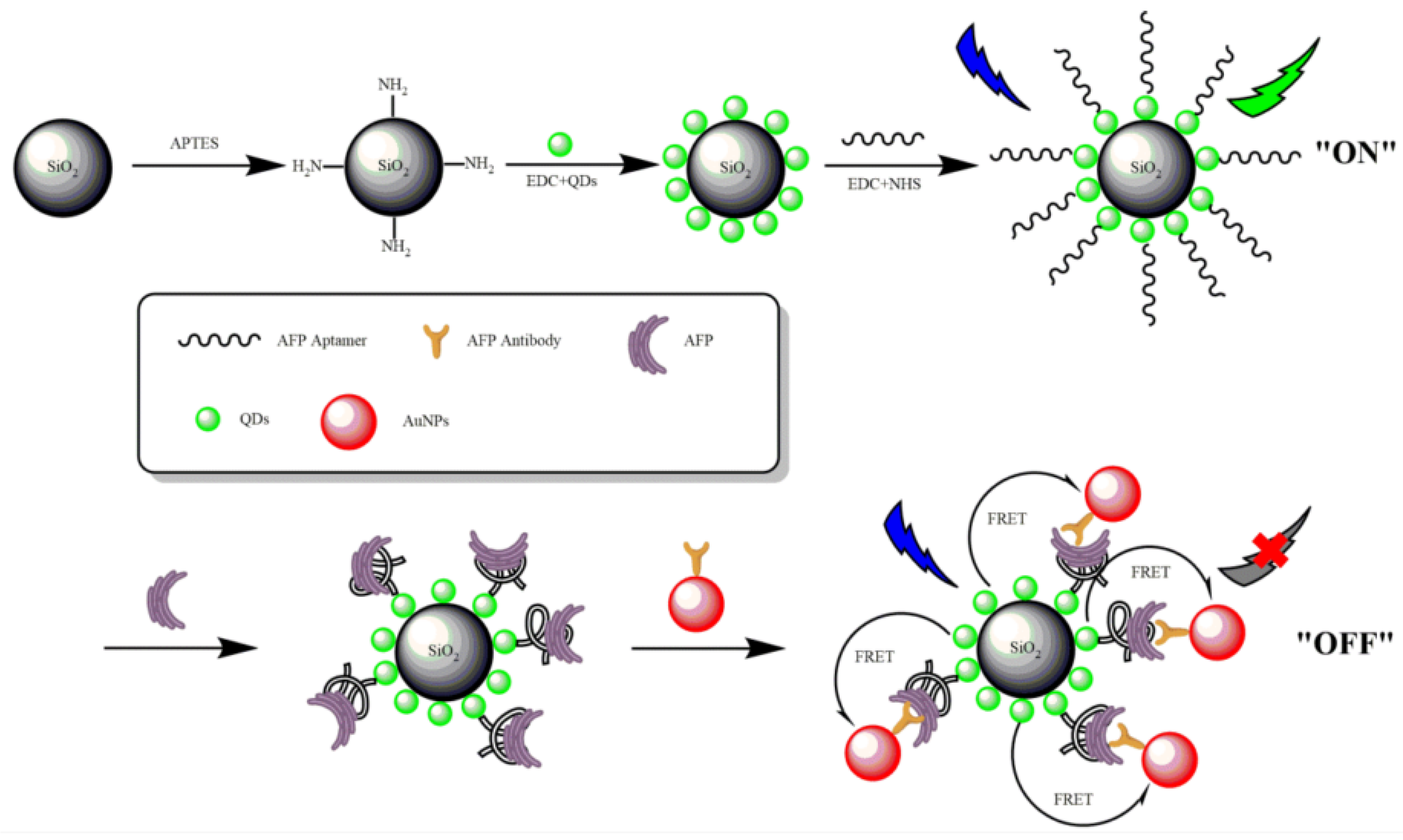Biosensors 12 00780 g004