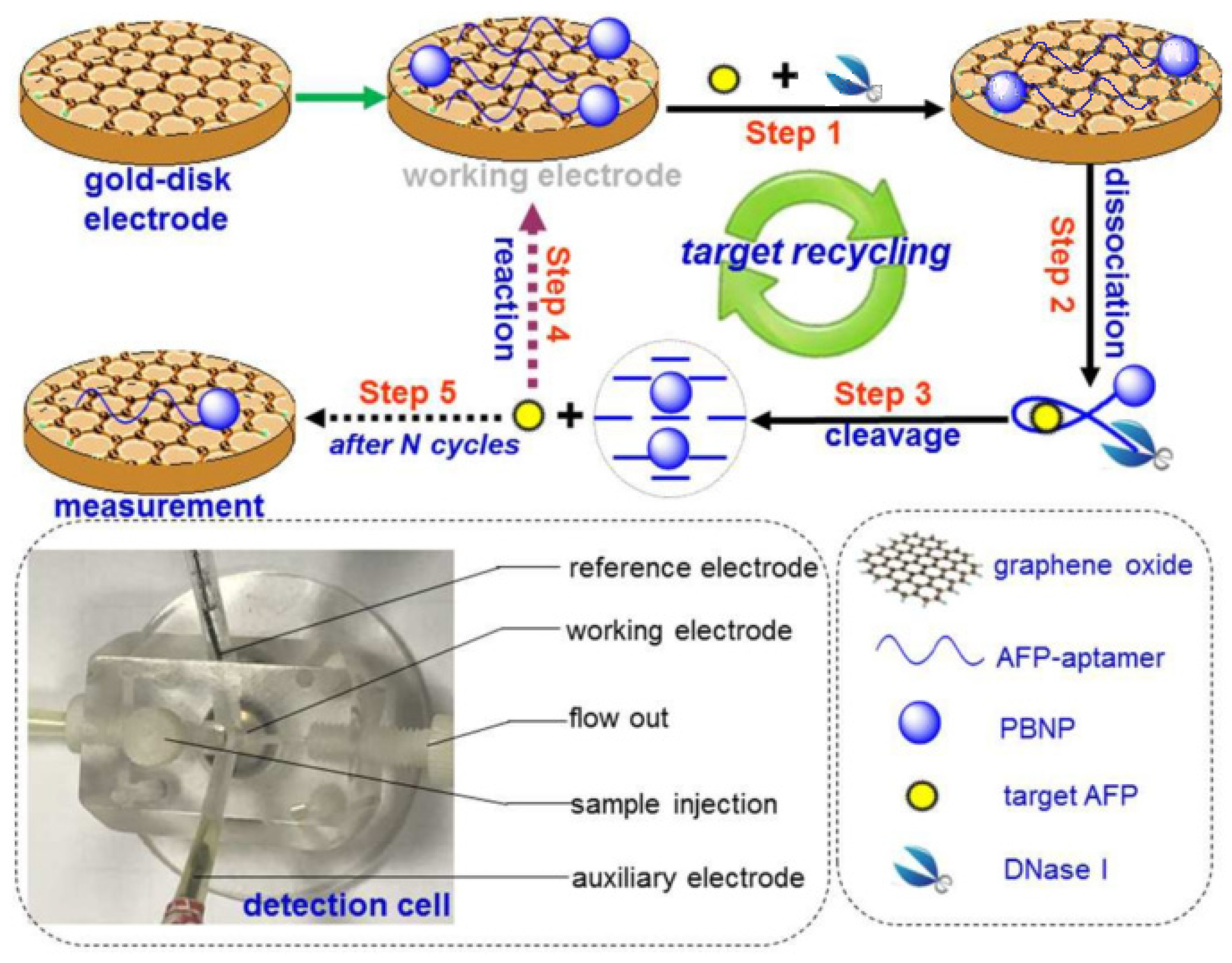 Biosensors 12 00780 g005