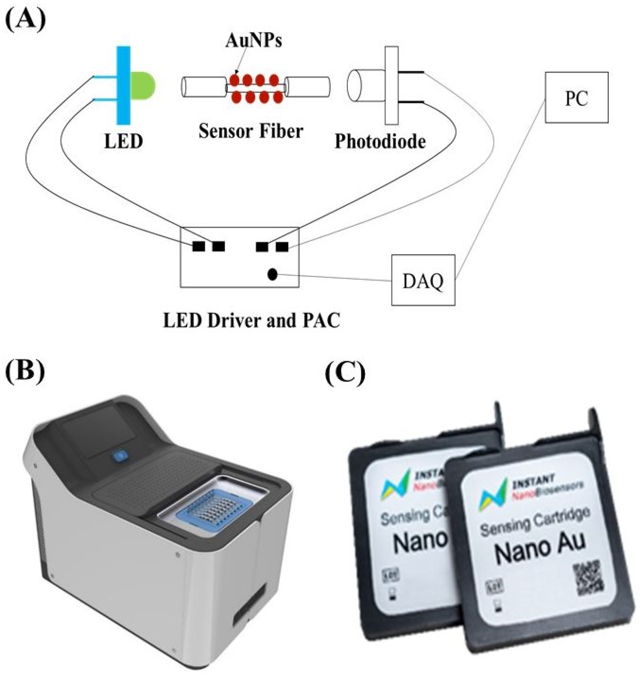 Biosensors 12 00785 g001