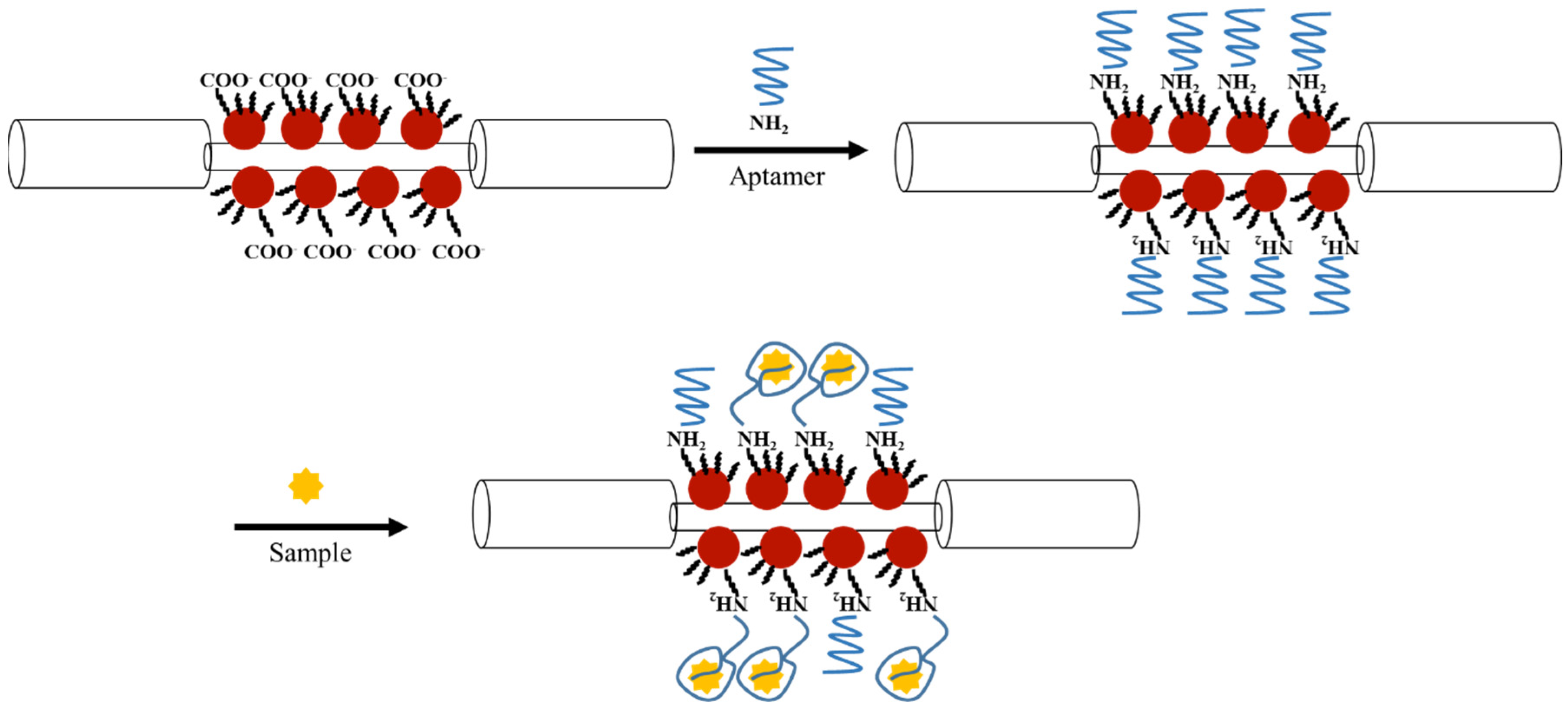 Biosensors 12 00785 g002