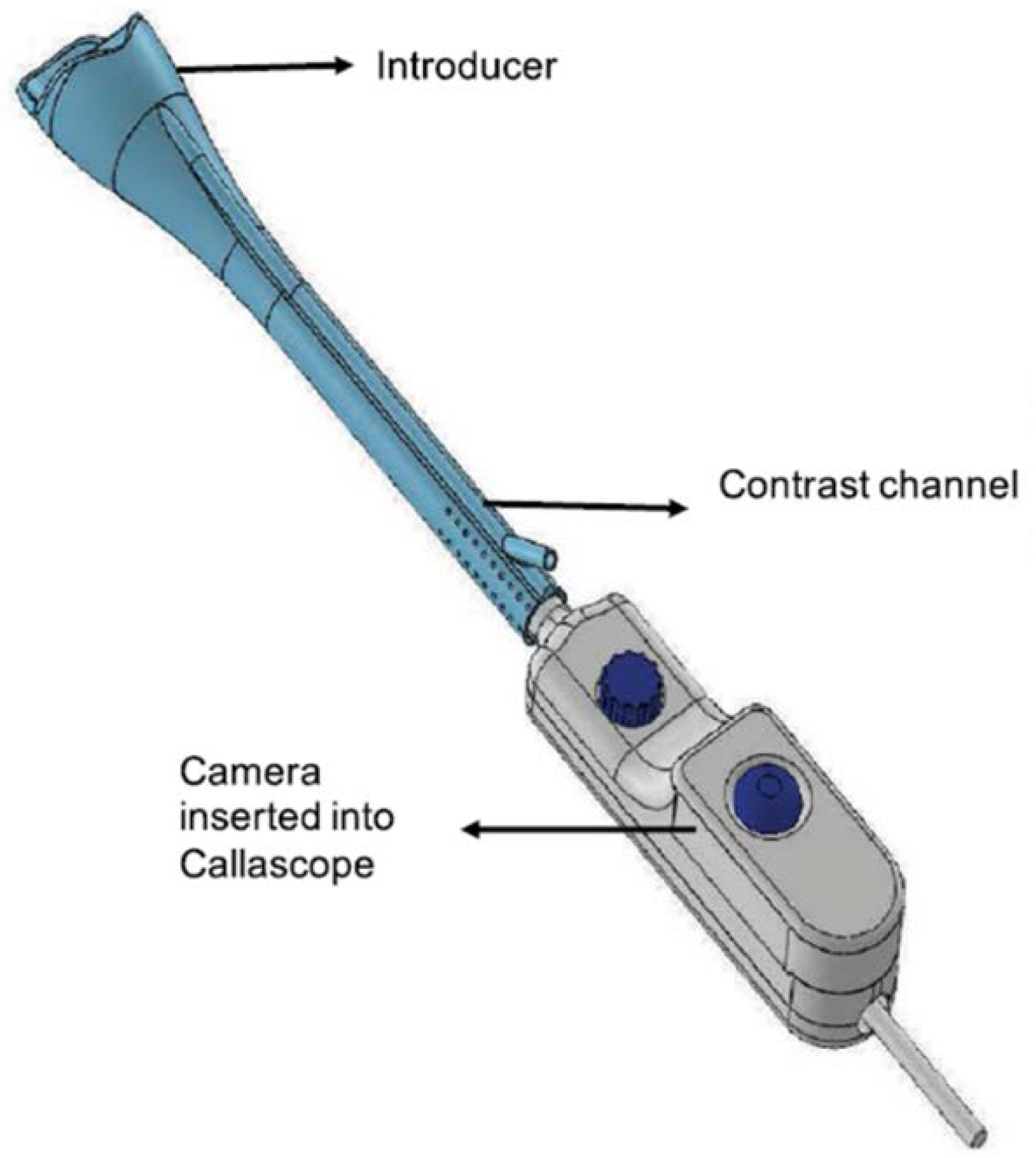 Biosensors 12 00786 g002