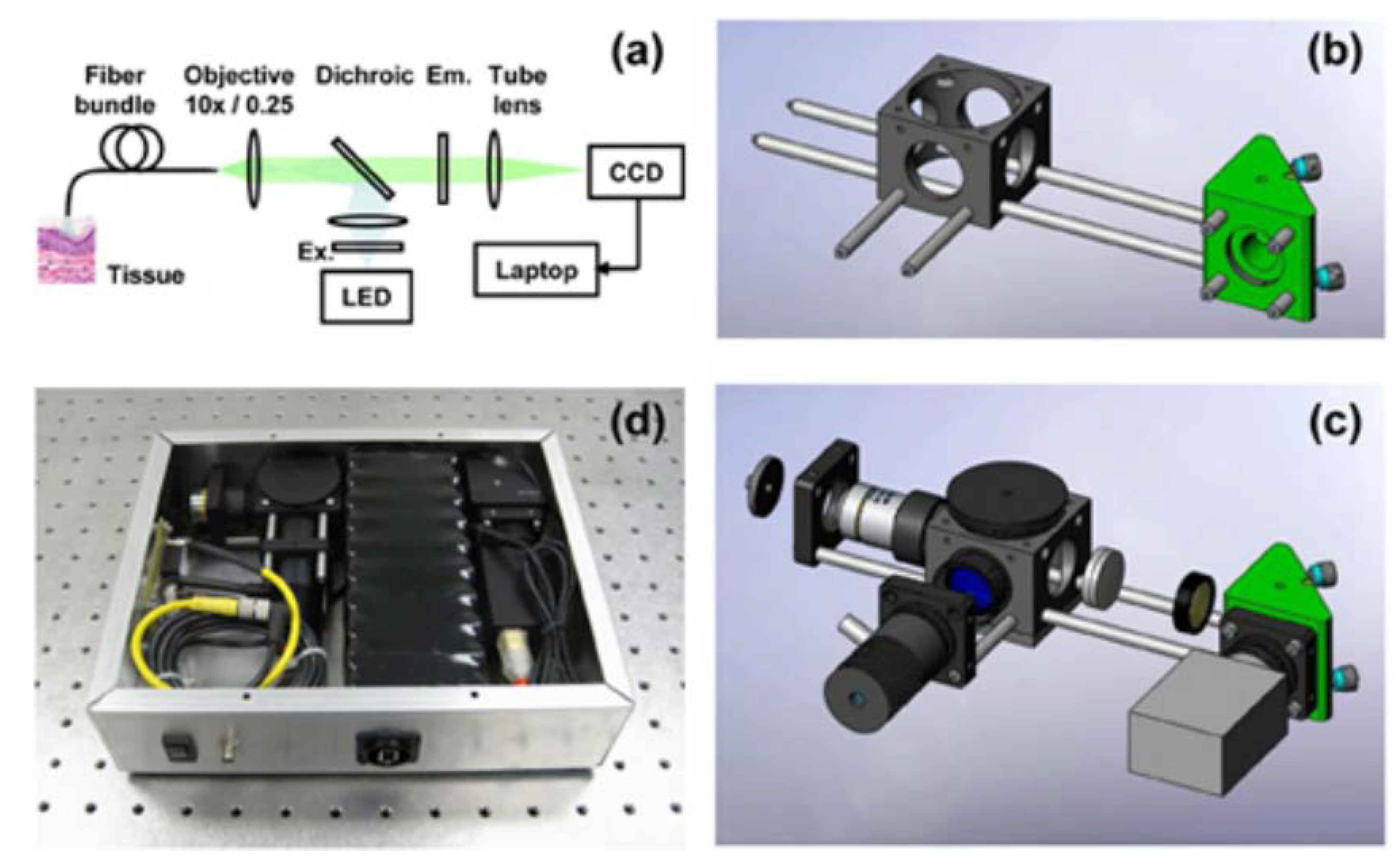 Biosensors 12 00786 g003
