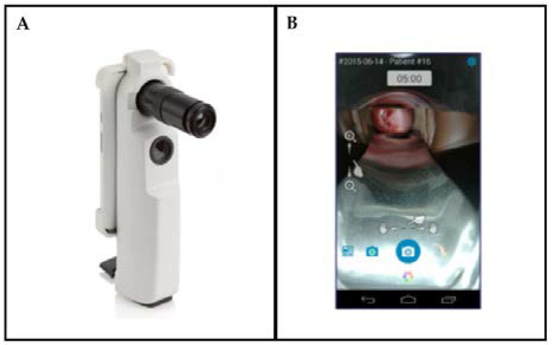 Biosensors 12 00786 g005