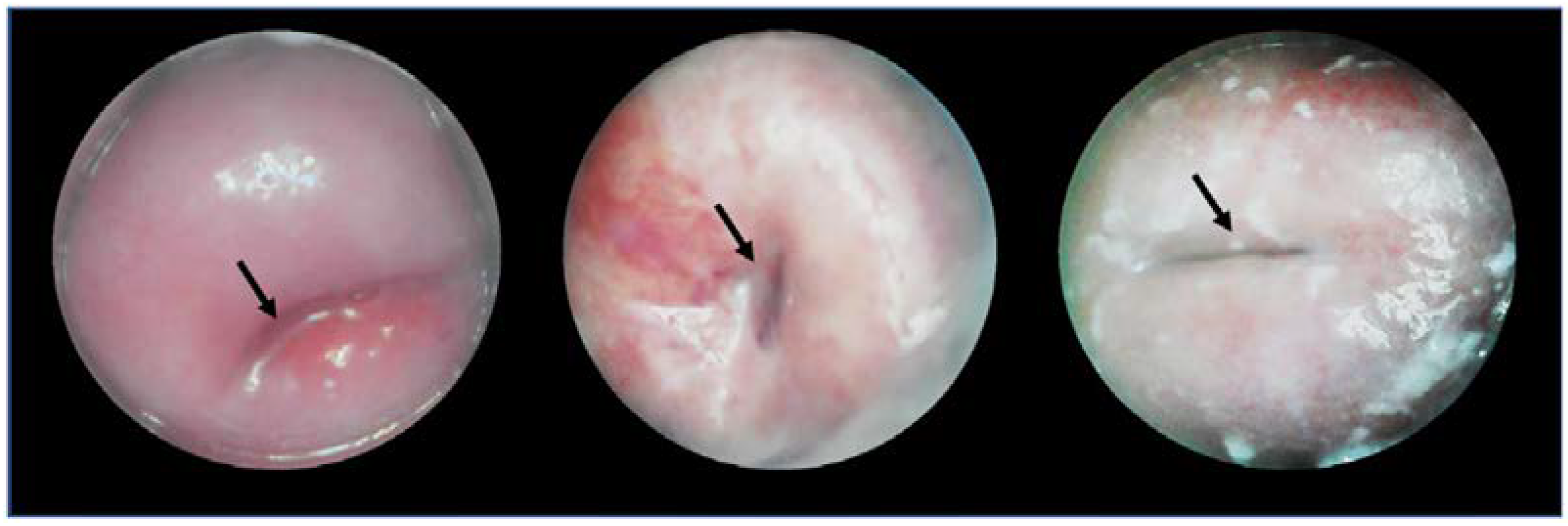 Biosensors 12 00786 g007