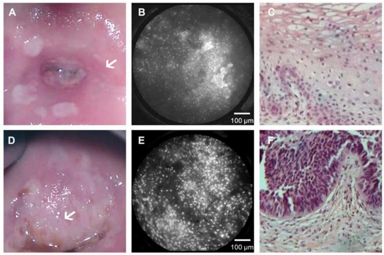 Biosensors 12 00786 g008