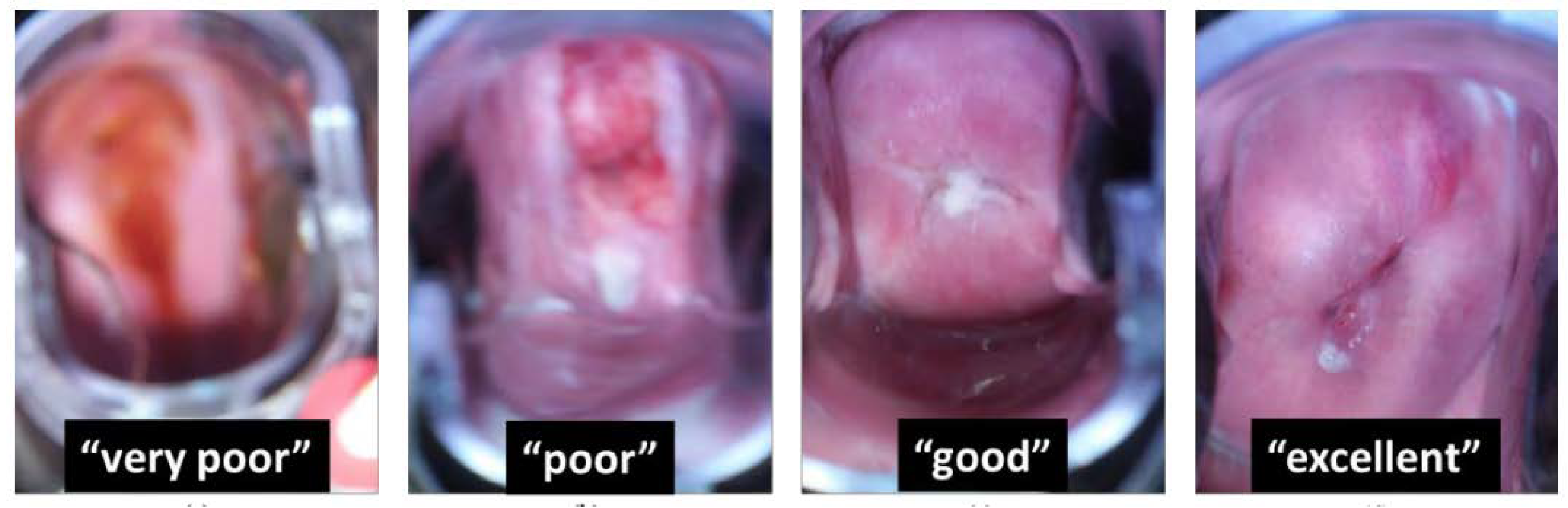 Biosensors 12 00786 g010