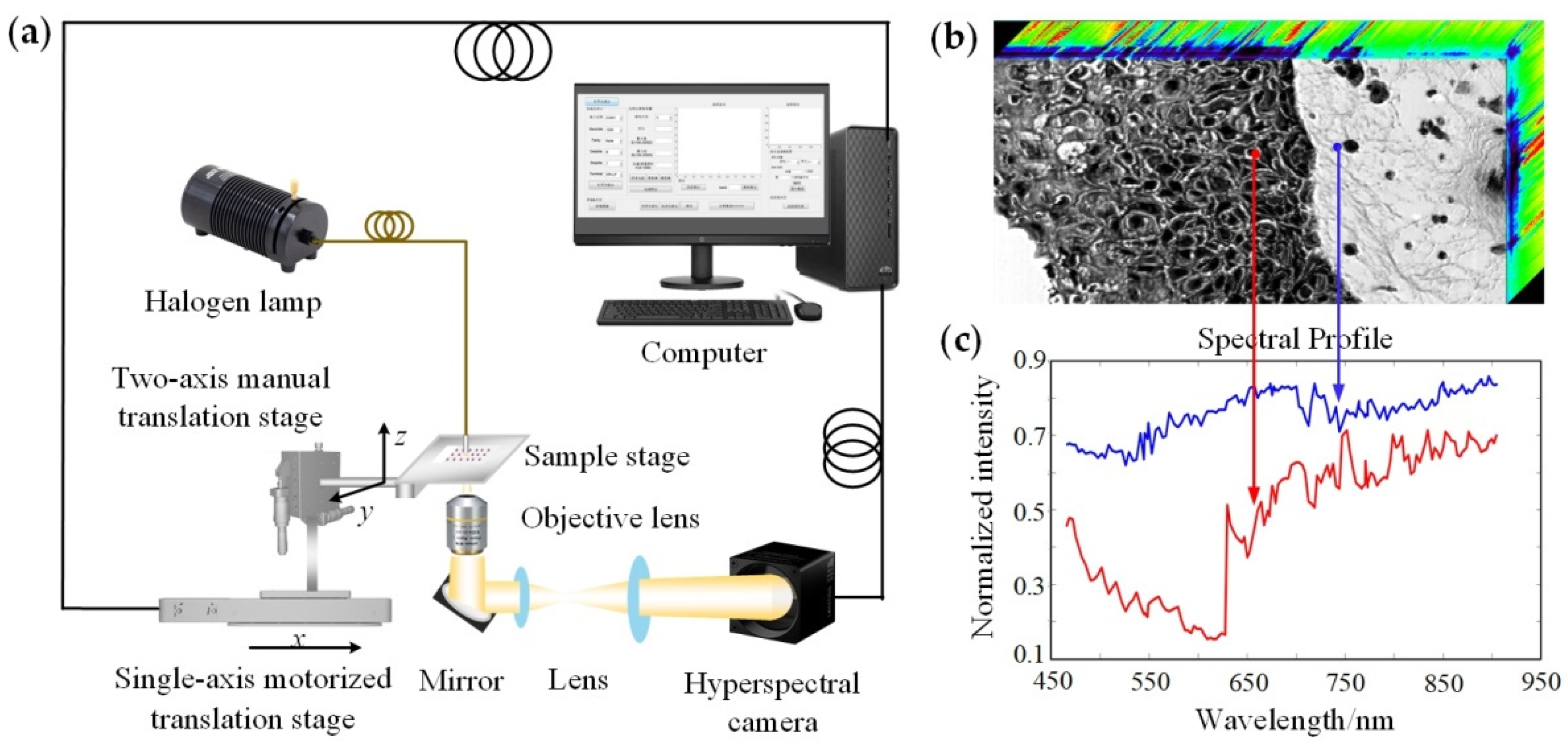 Biosensors 12 00790 g001