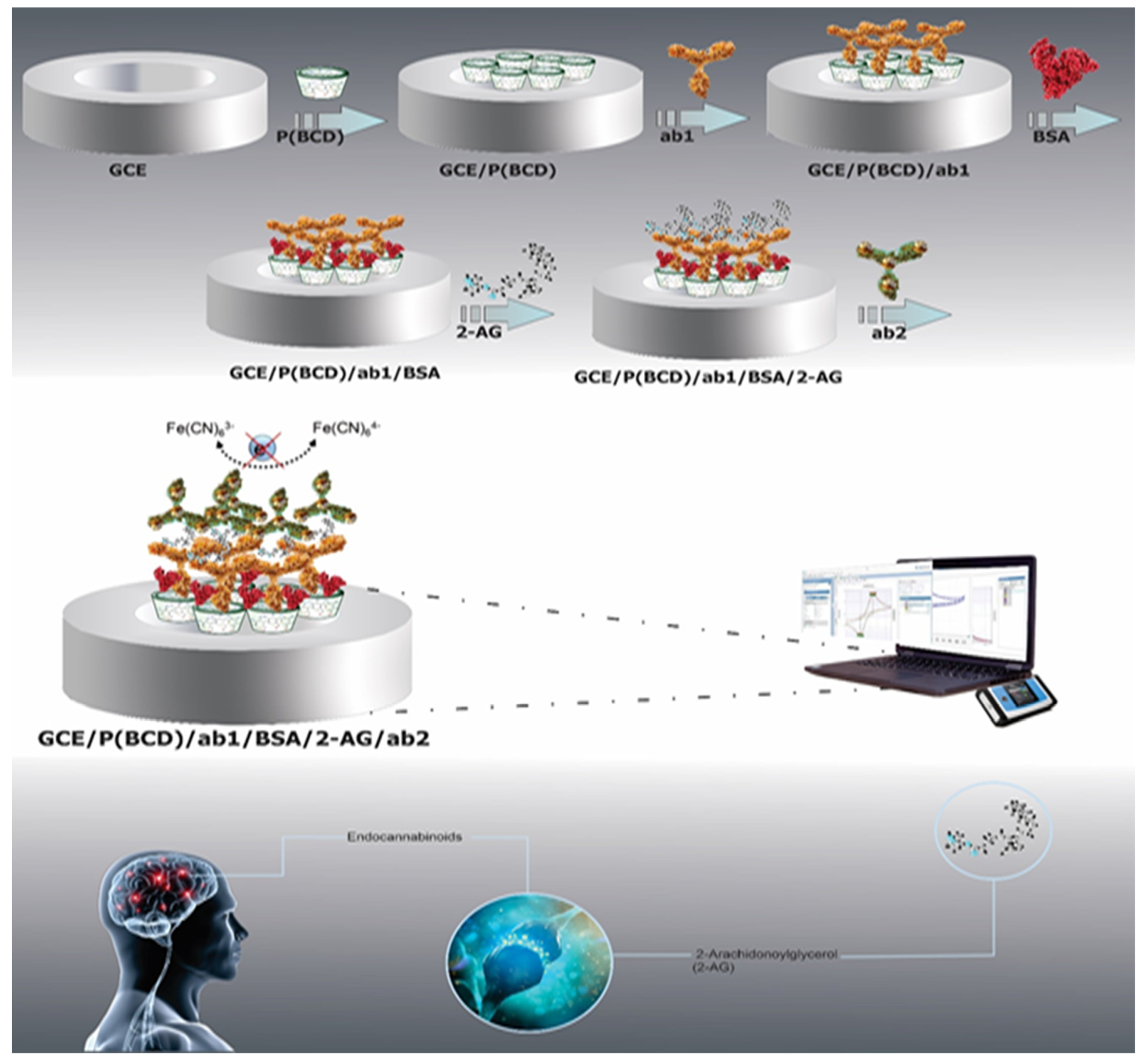 Biosensors 12 00791 sch001