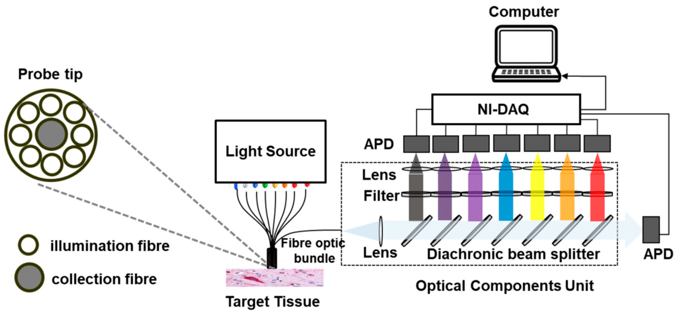Biosensors 12 00793 g007 Biosensors 12 00793 g007