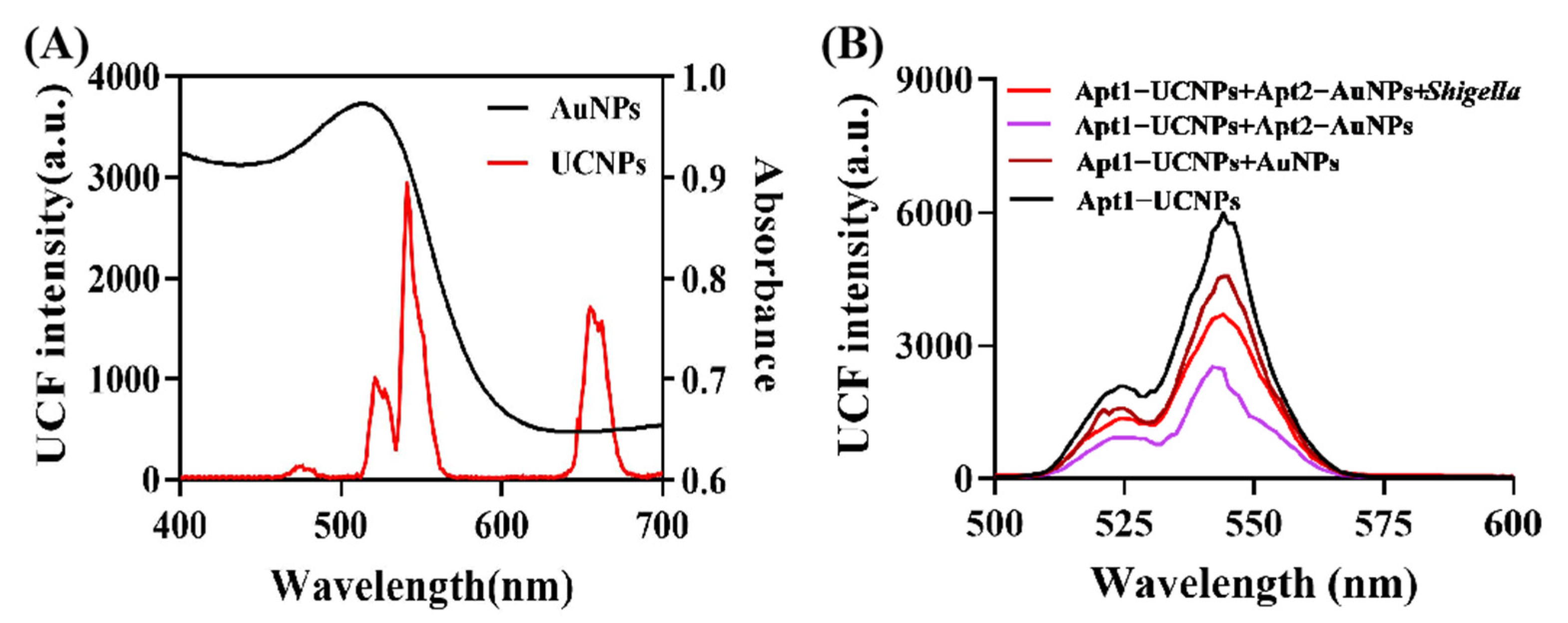 Biosensors 12 00795 g003