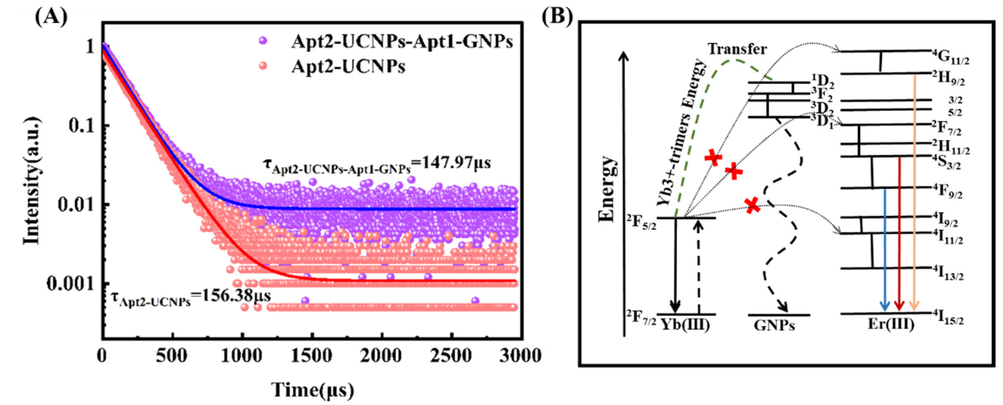 Biosensors 12 00795 g004
