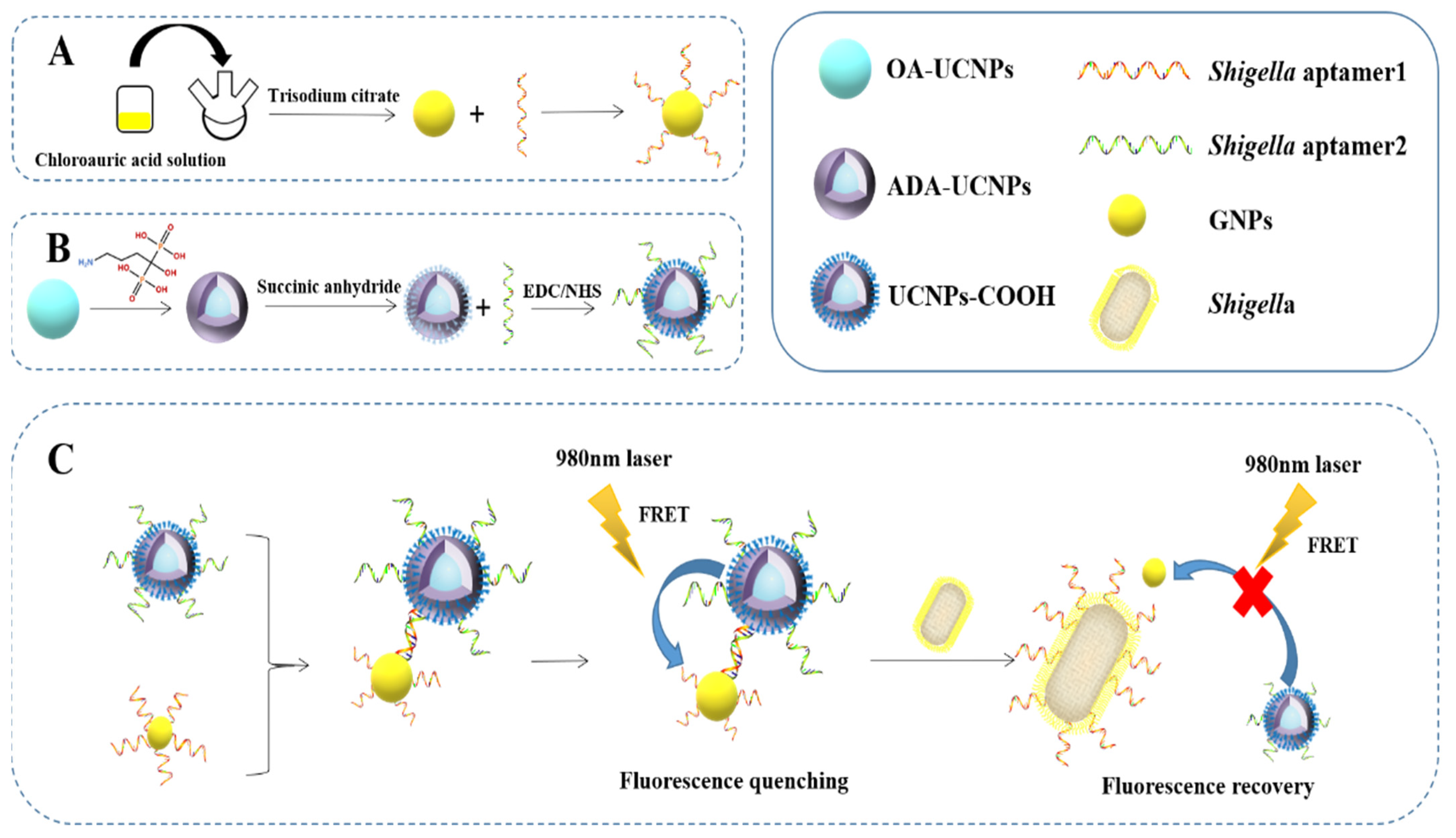 Biosensors 12 00795 sch001