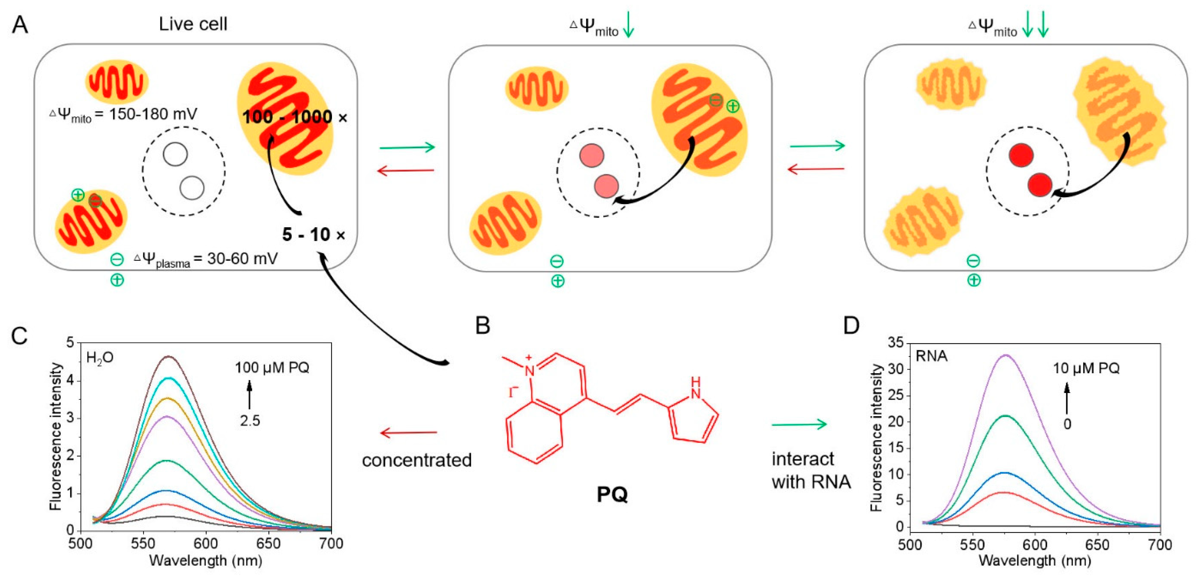 Biosensors 12 00798 g001