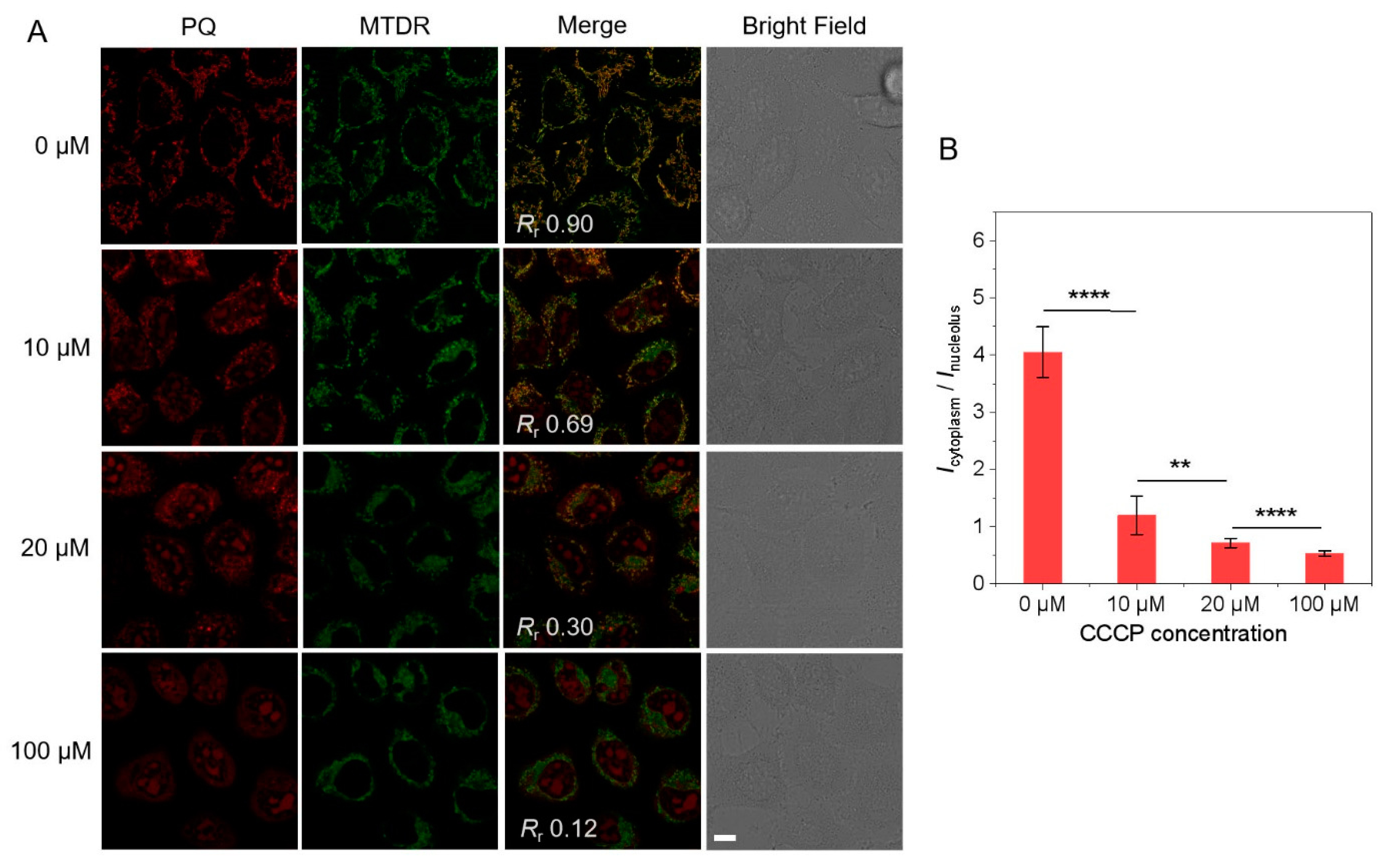 Biosensors 12 00798 g002