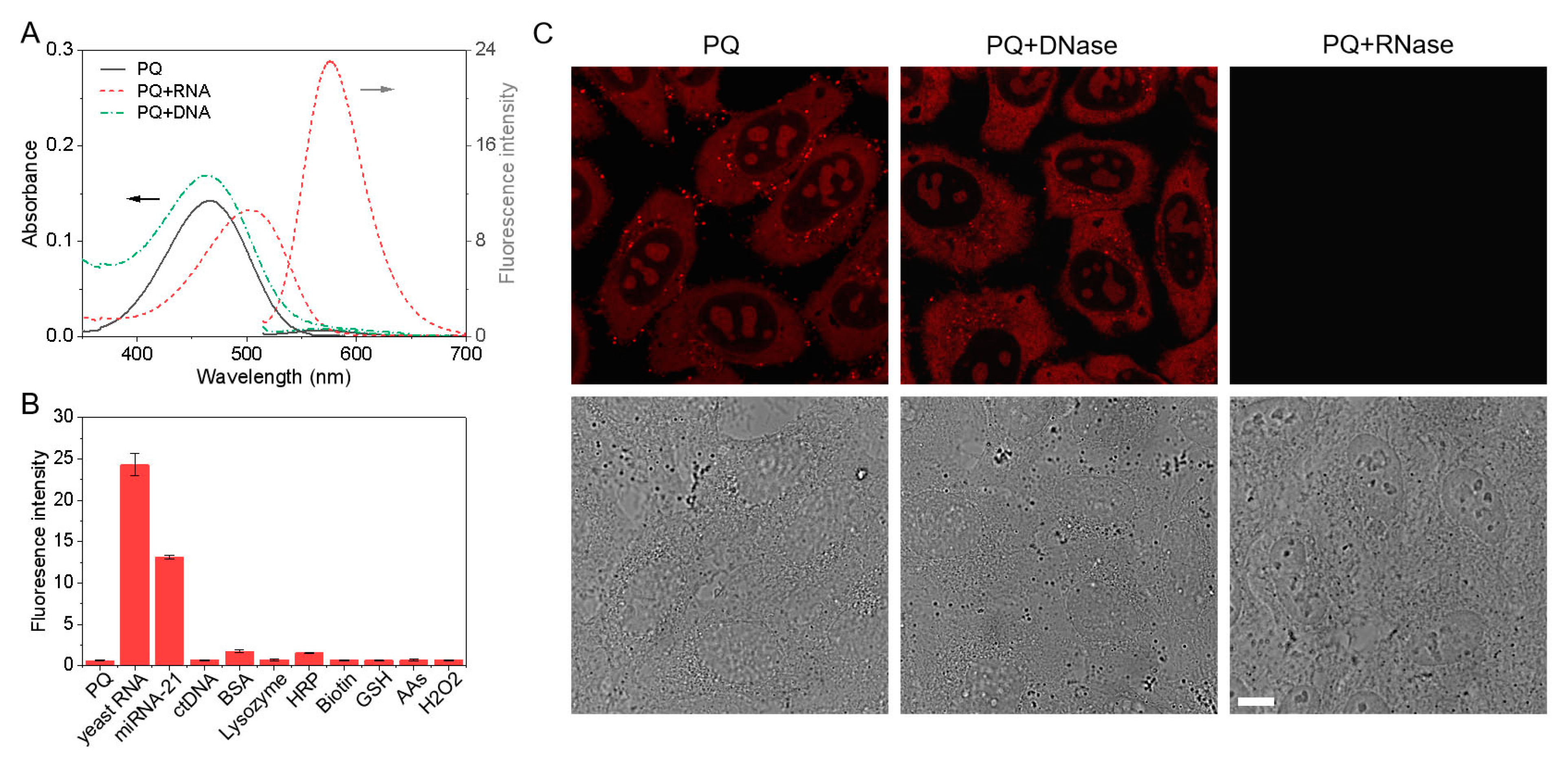 Biosensors 12 00798 g003