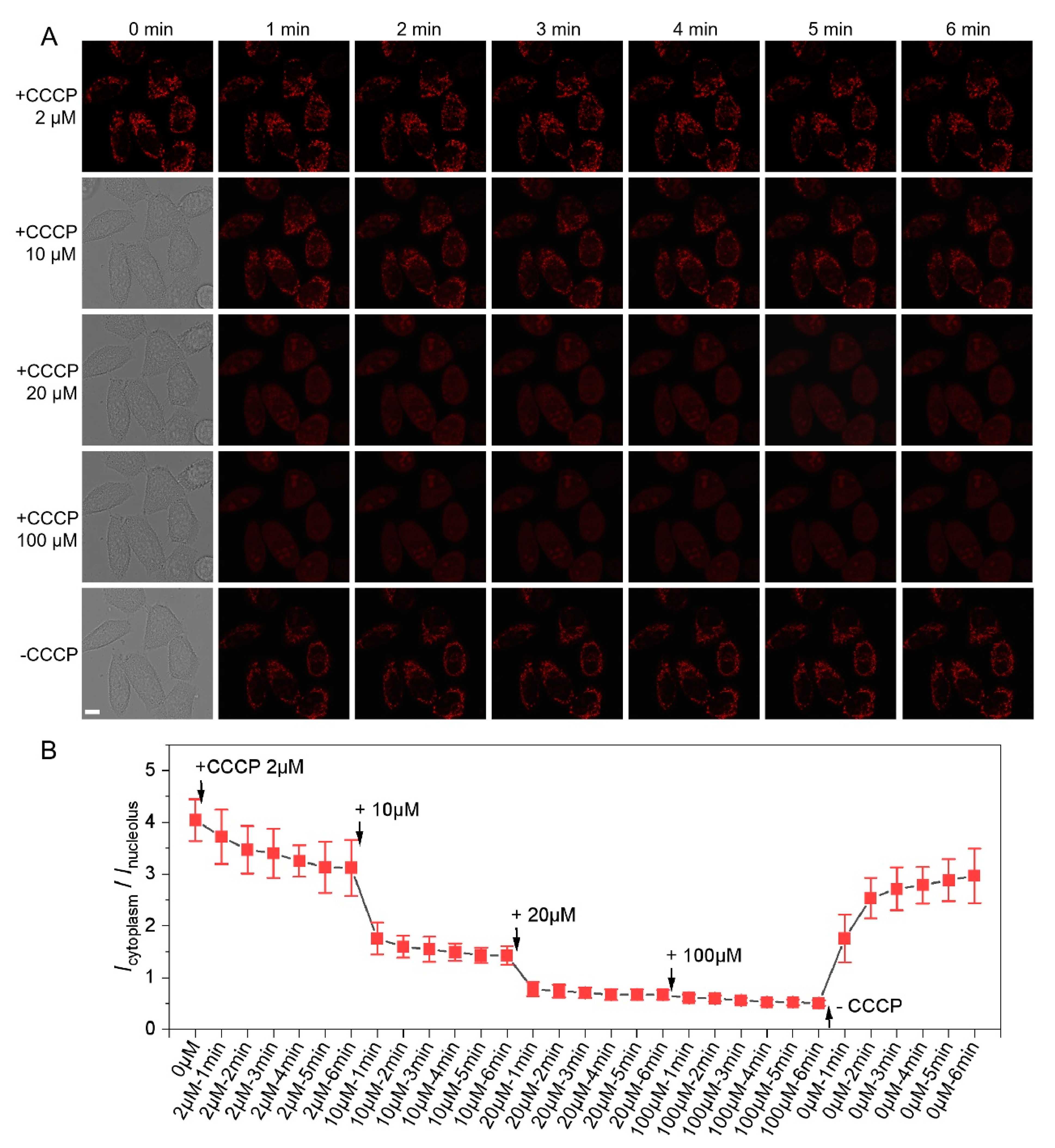 Biosensors 12 00798 g004