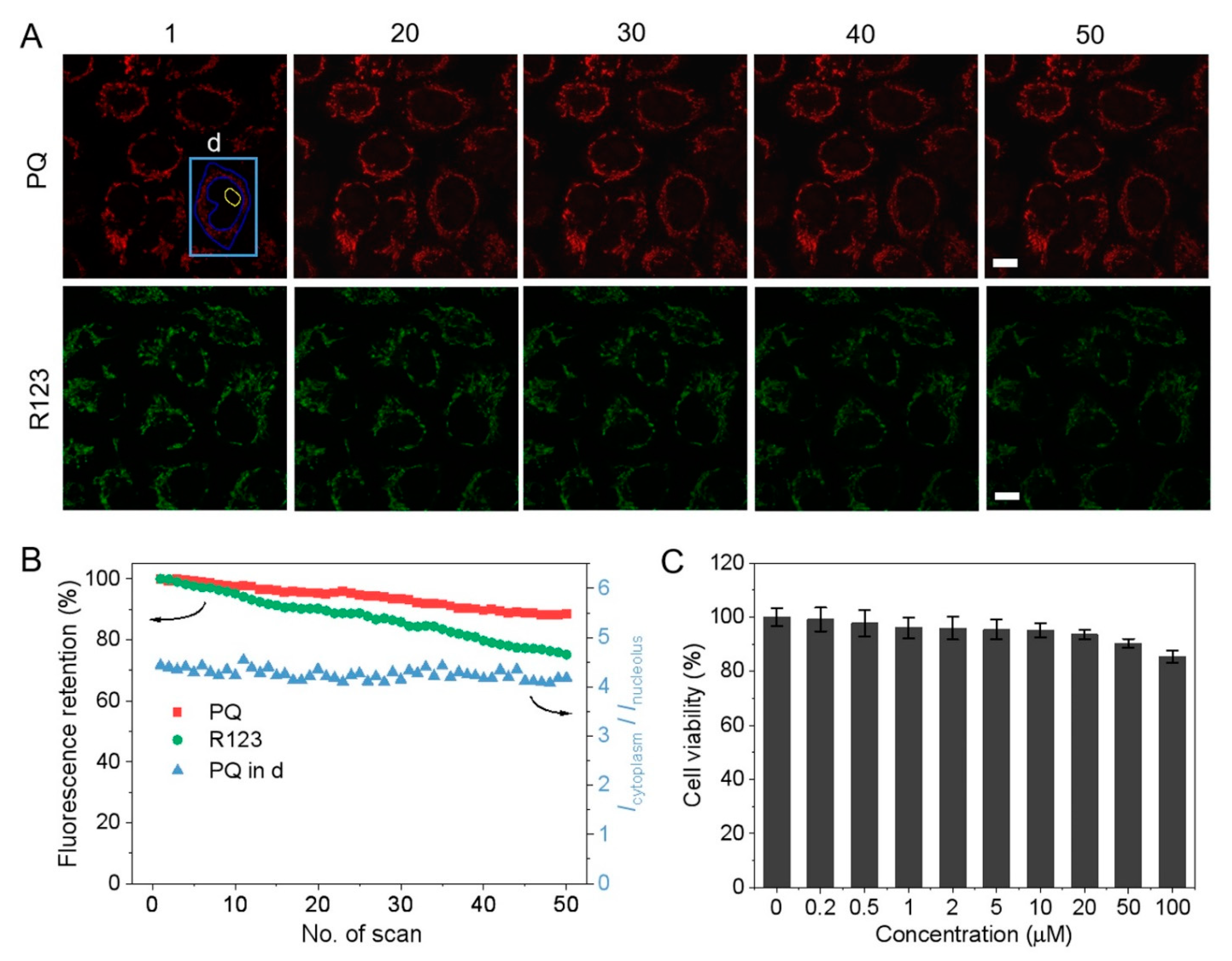 Biosensors 12 00798 g005