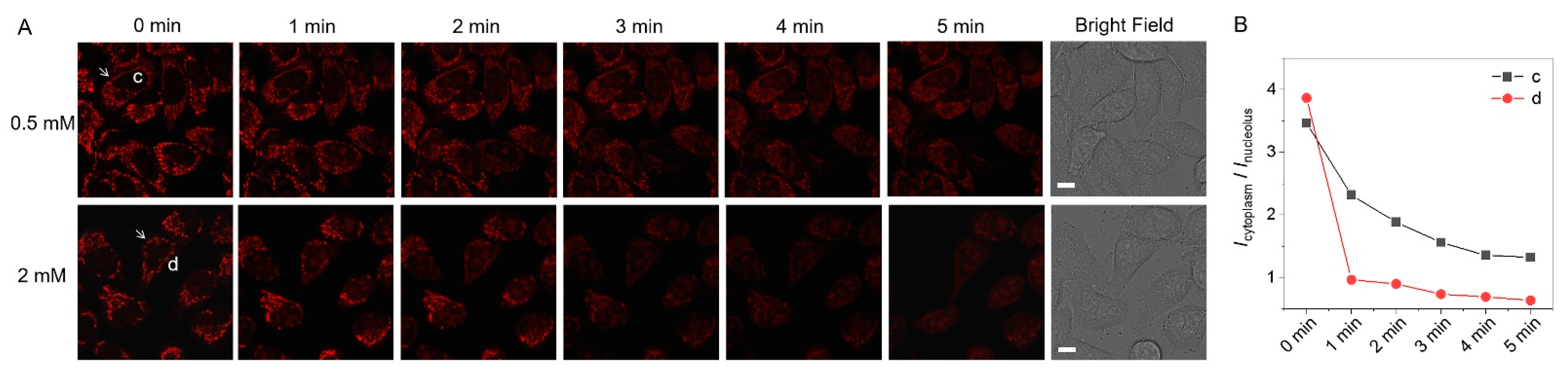 Biosensors 12 00798 g006