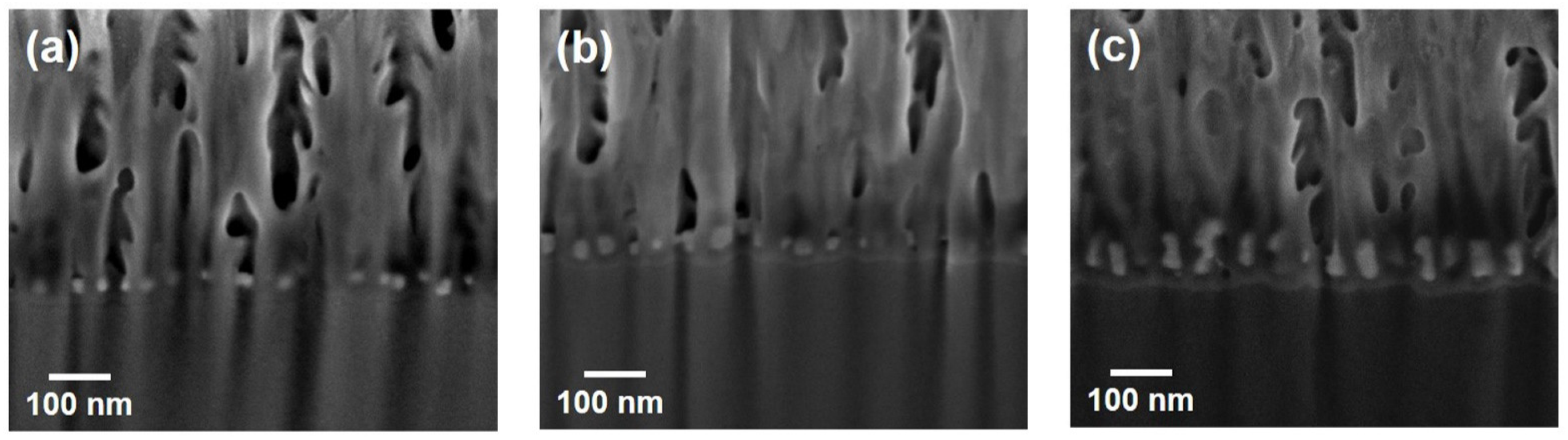 Biosensors 12 00807 g002