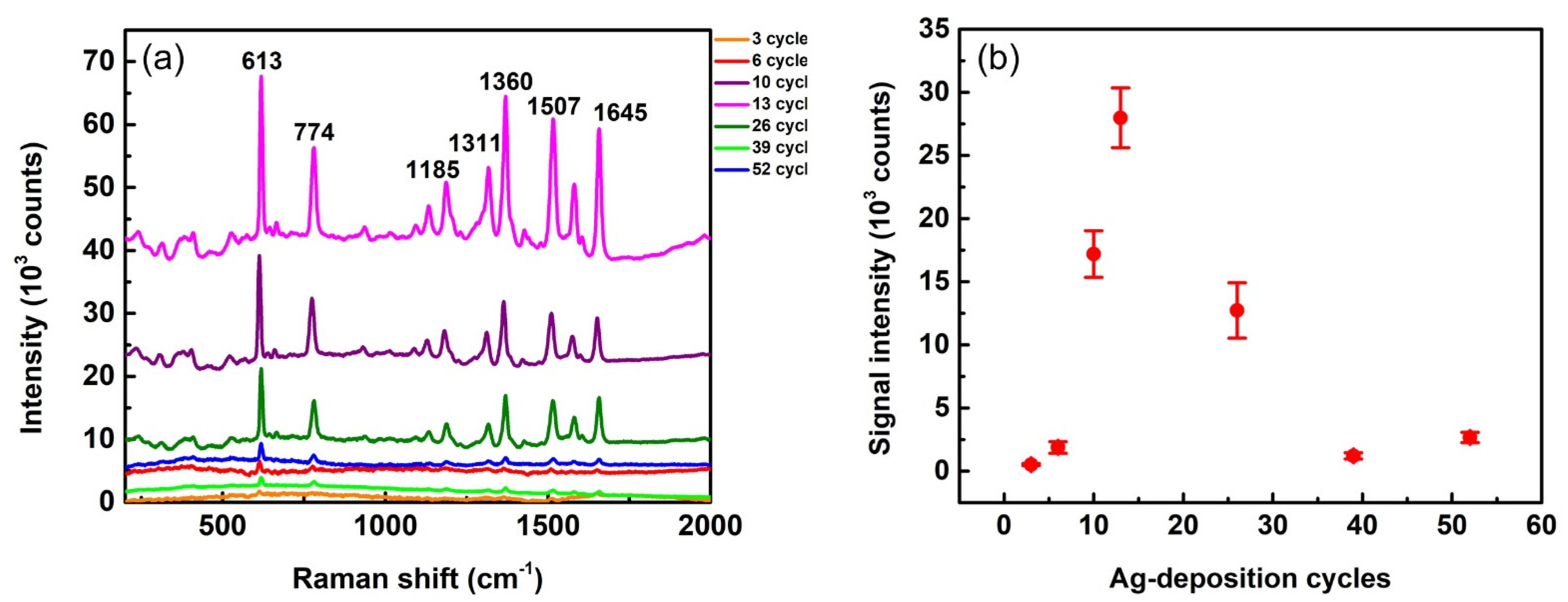 Biosensors 12 00807 g005