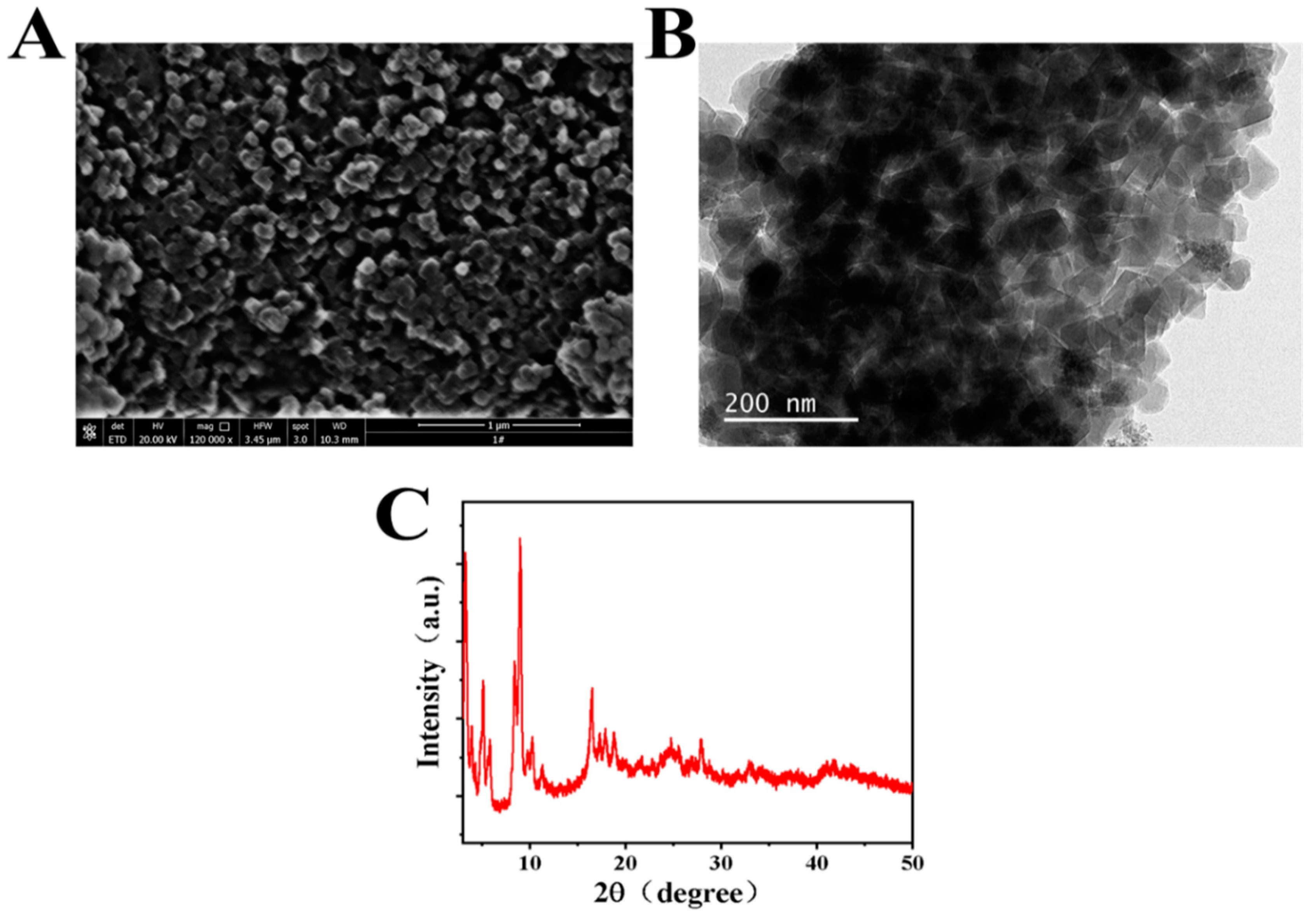 Biosensors 12 00813 g001
