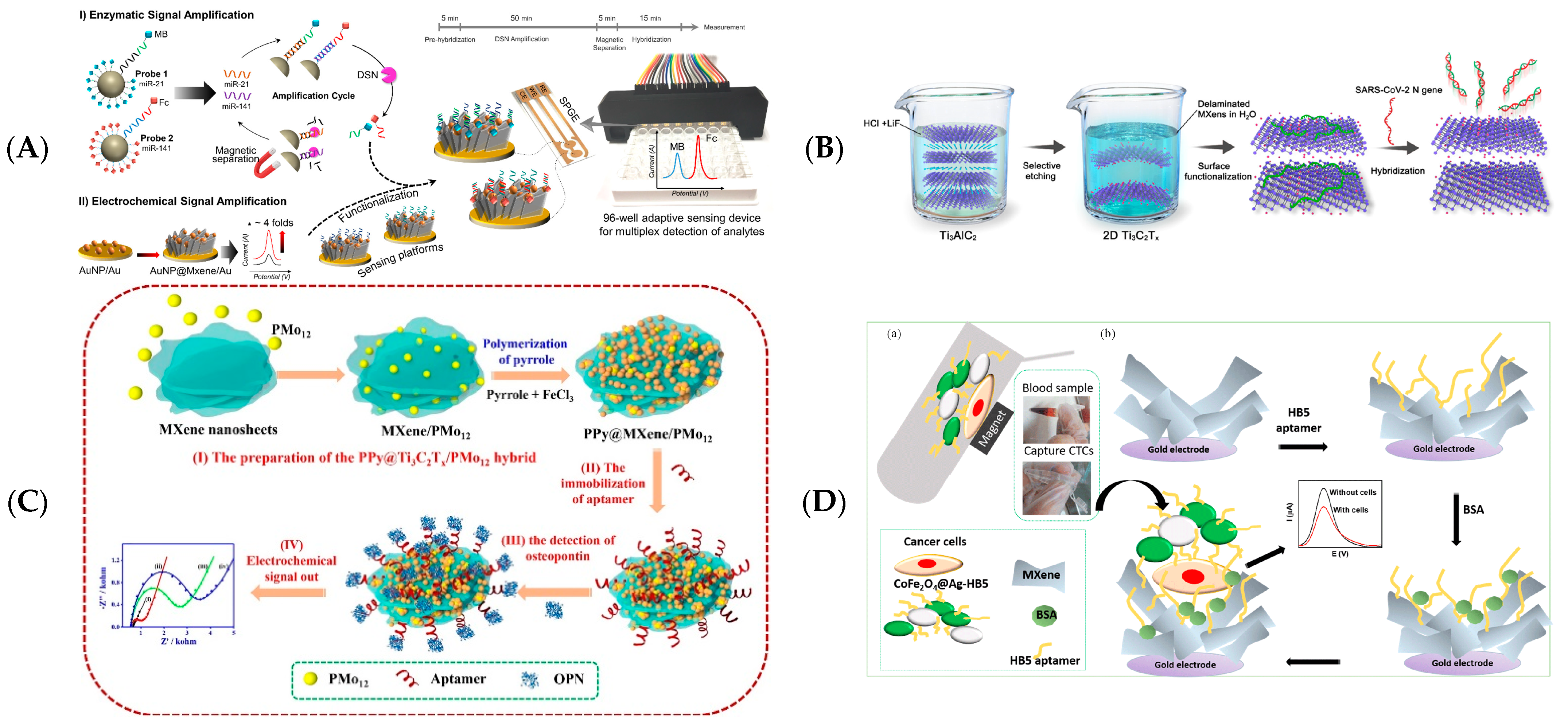 Biosensors 12 00820 g007