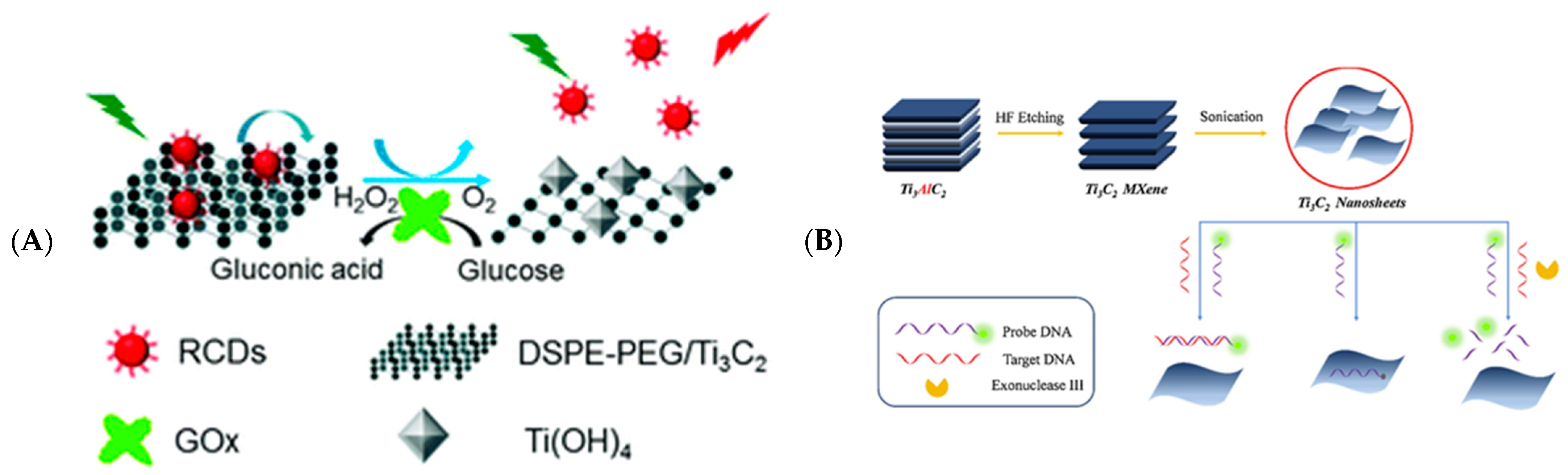 Biosensors 12 00820 g009