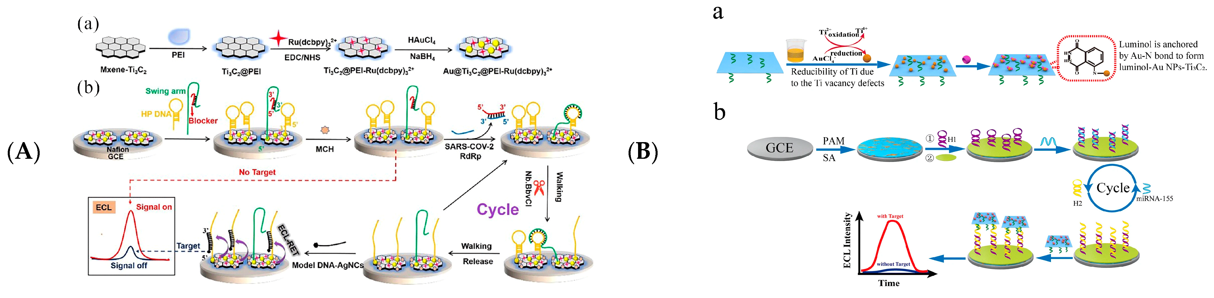 Biosensors 12 00820 g011a