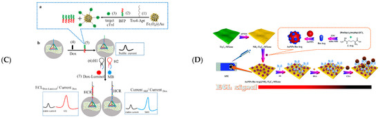Biosensors 12 00820 g011b