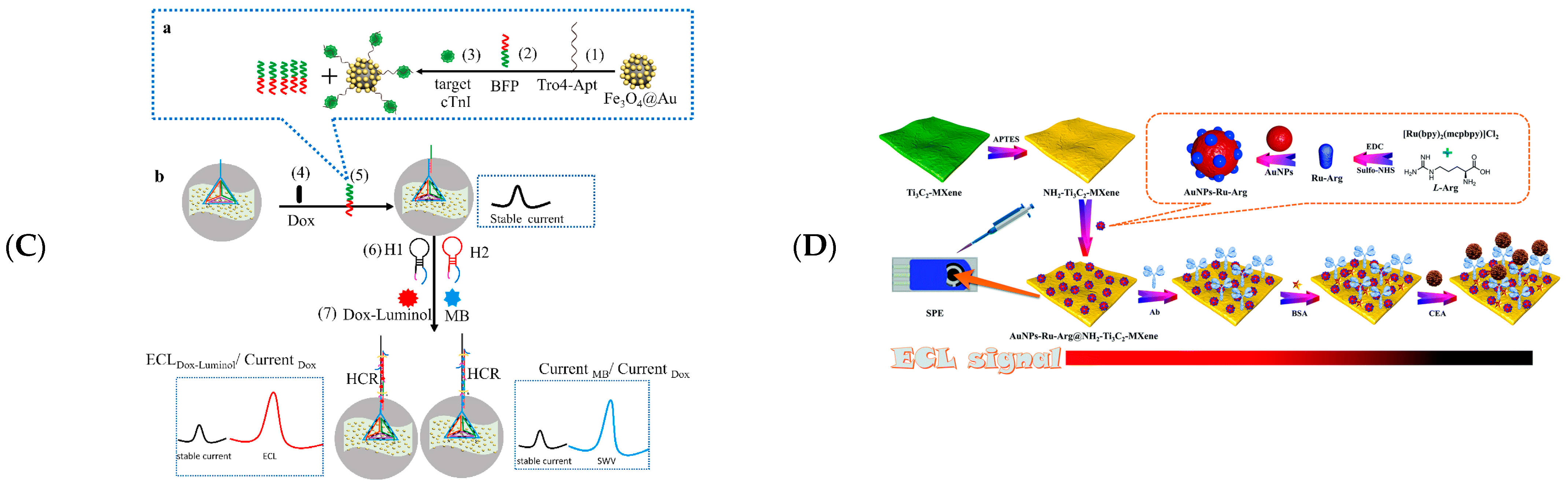 Biosensors 12 00820 g011b