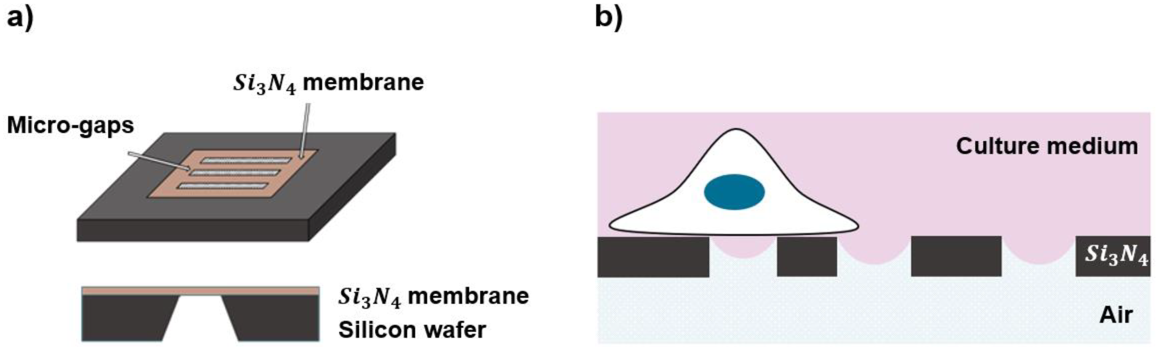 Biosensors 12 00822 g001