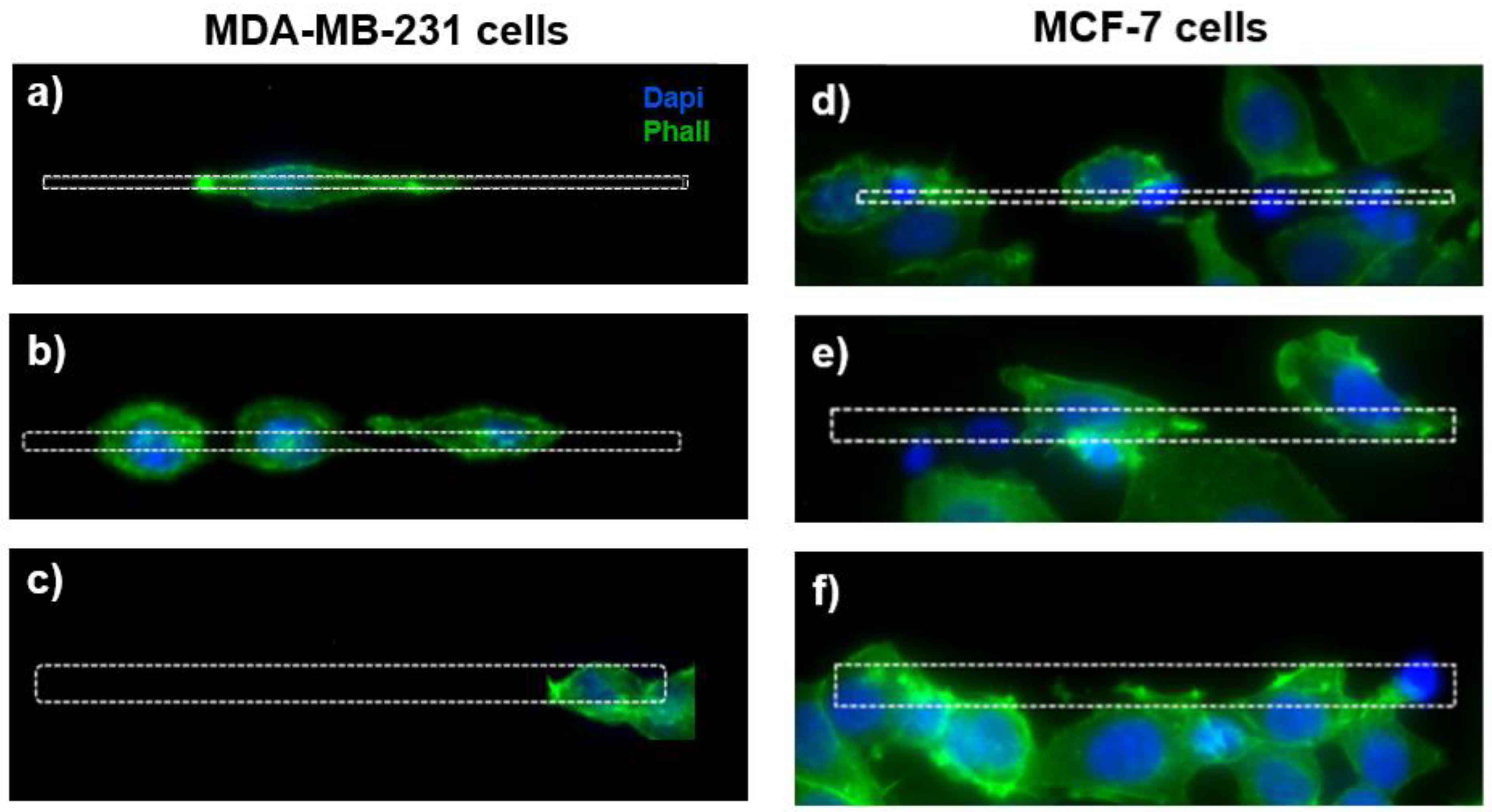 Biosensors 12 00822 g004