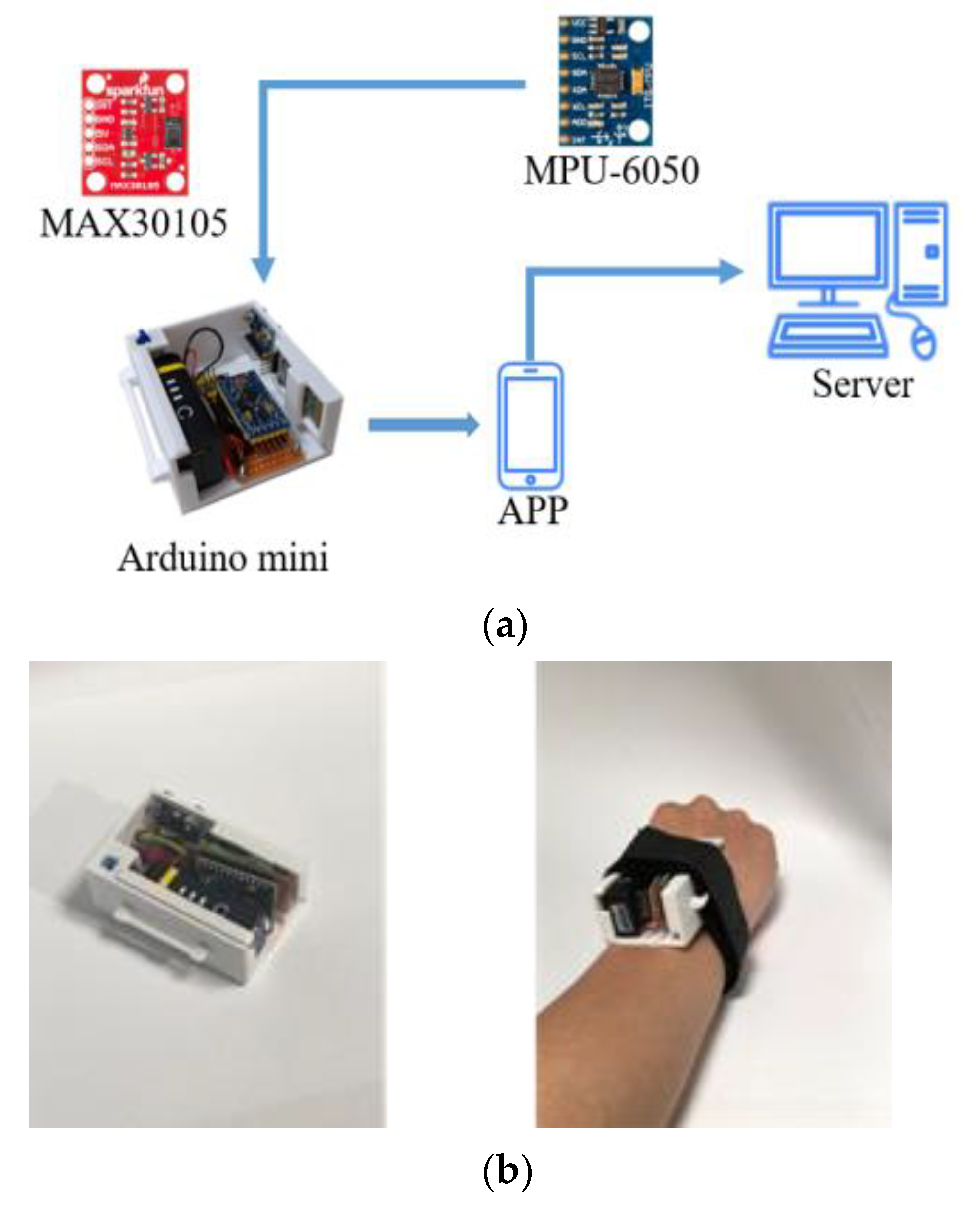 Biosensors 12 00824 g002