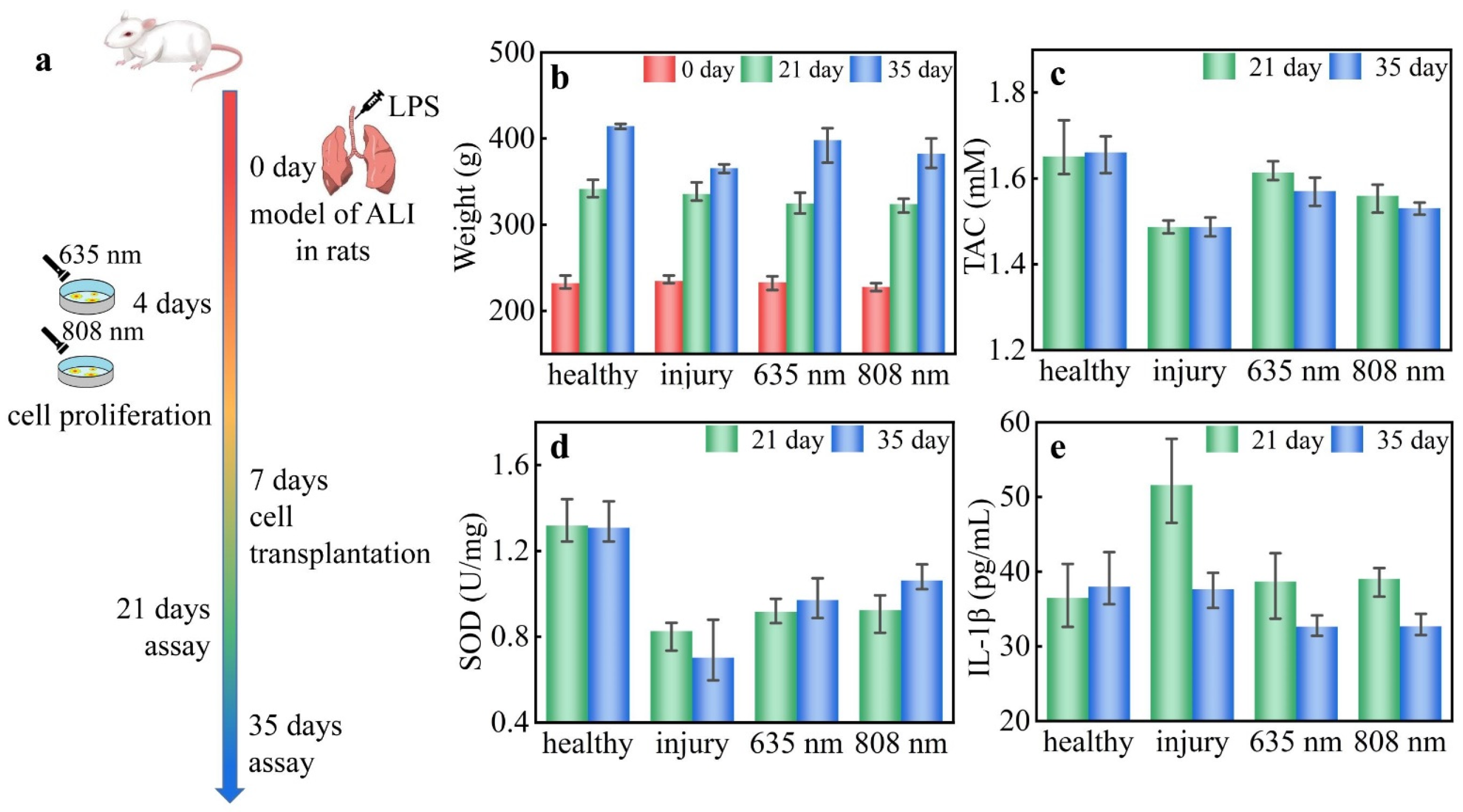 Biosensors 12 00826 g001
