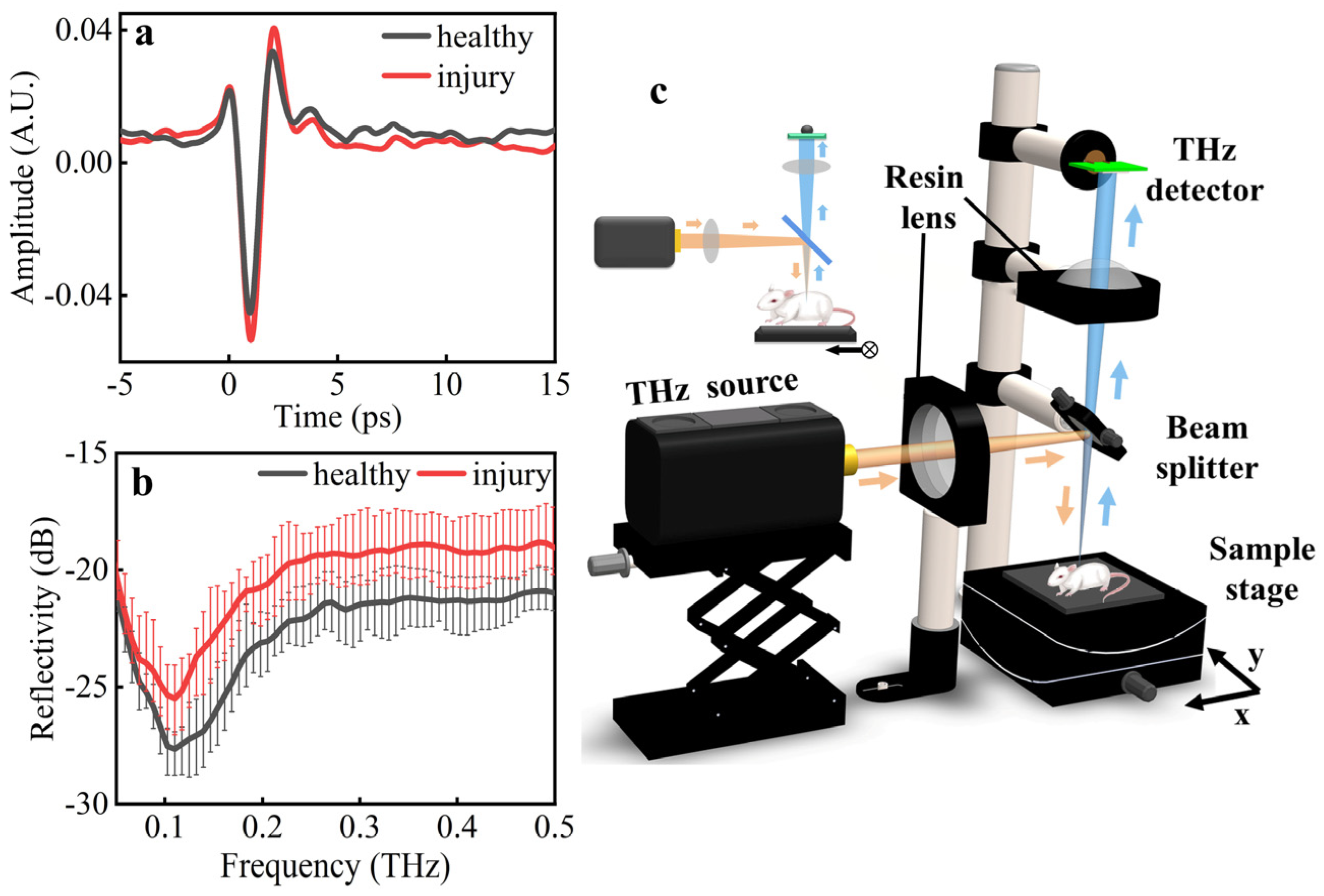 Biosensors 12 00826 g002