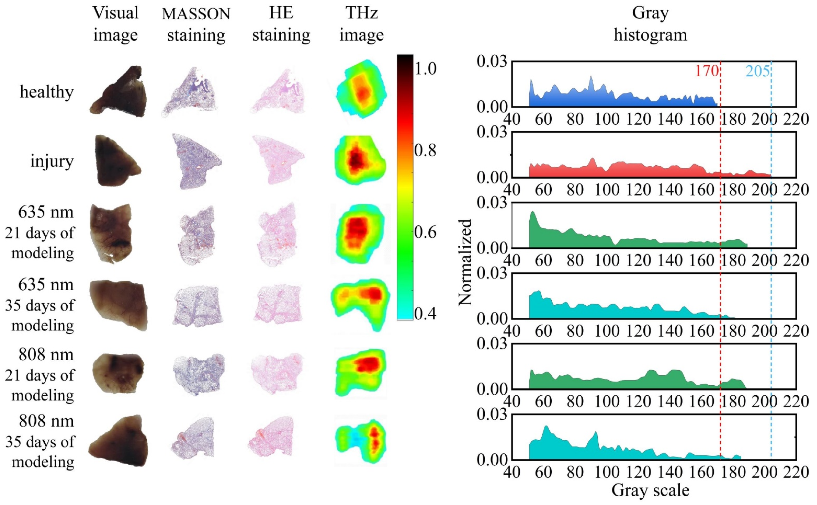Biosensors 12 00826 g003